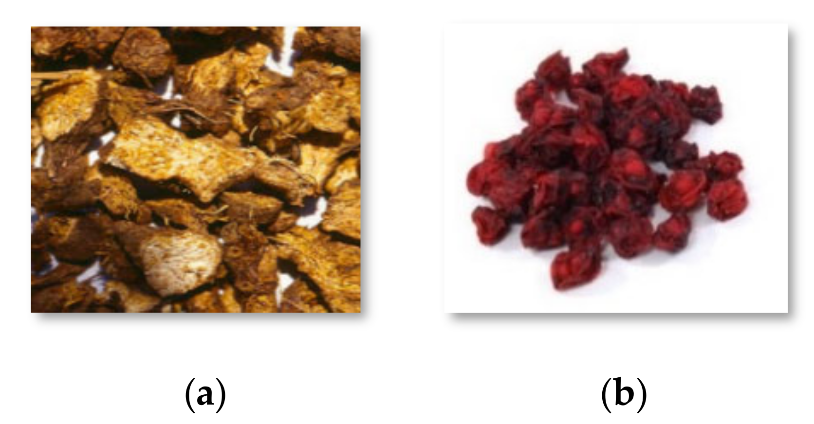 Applsci 10 07006 g001