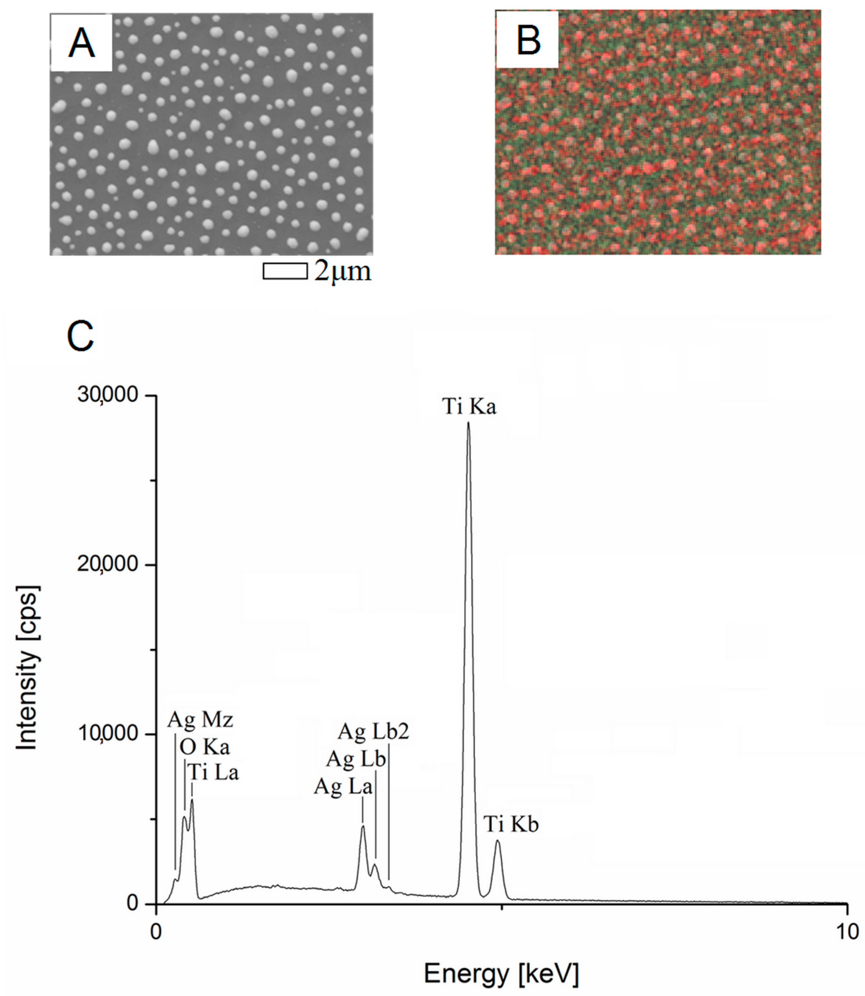 Applsci 10 07063 g003