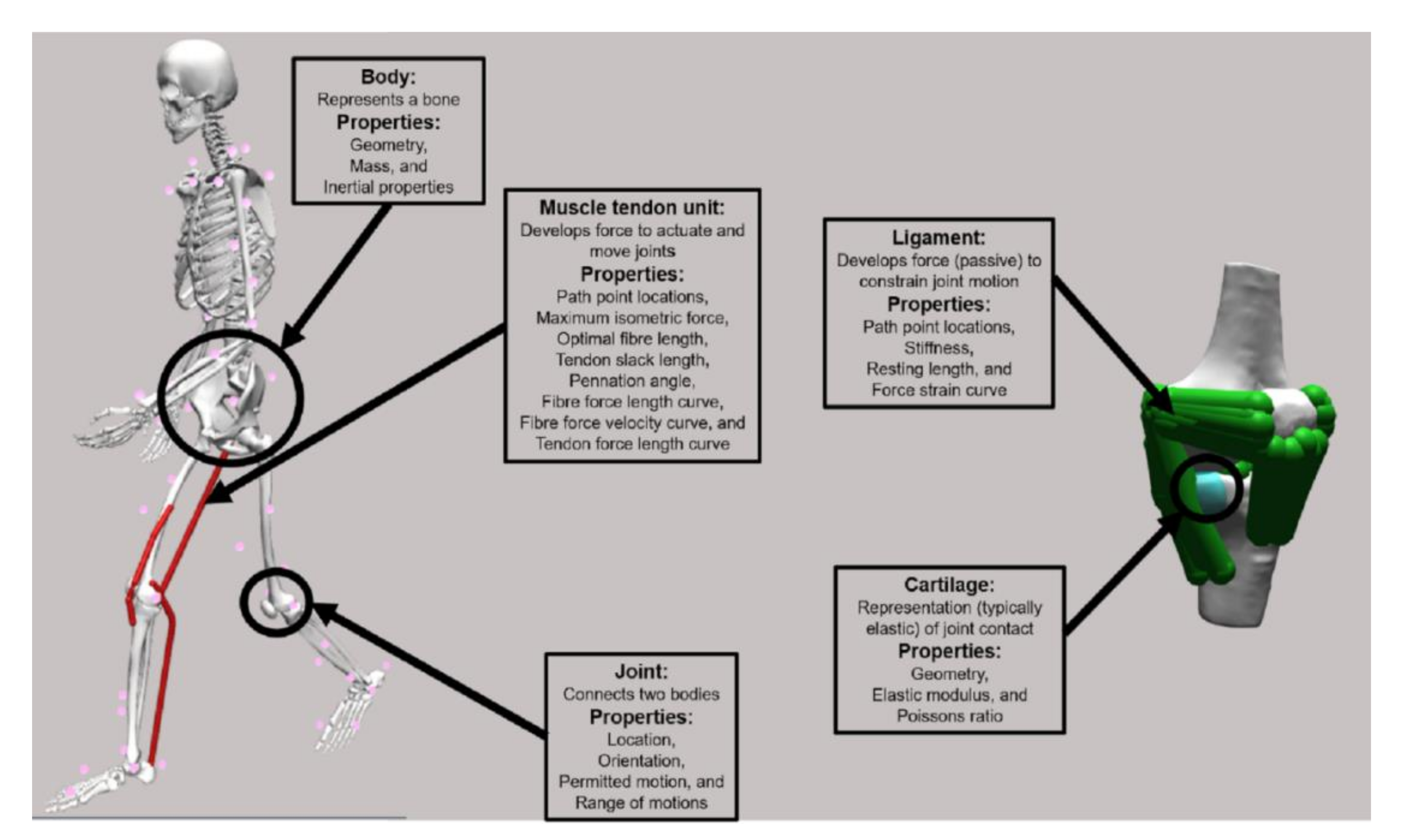 Applsci 10 07255 g002 Applsci 10 07255 g002