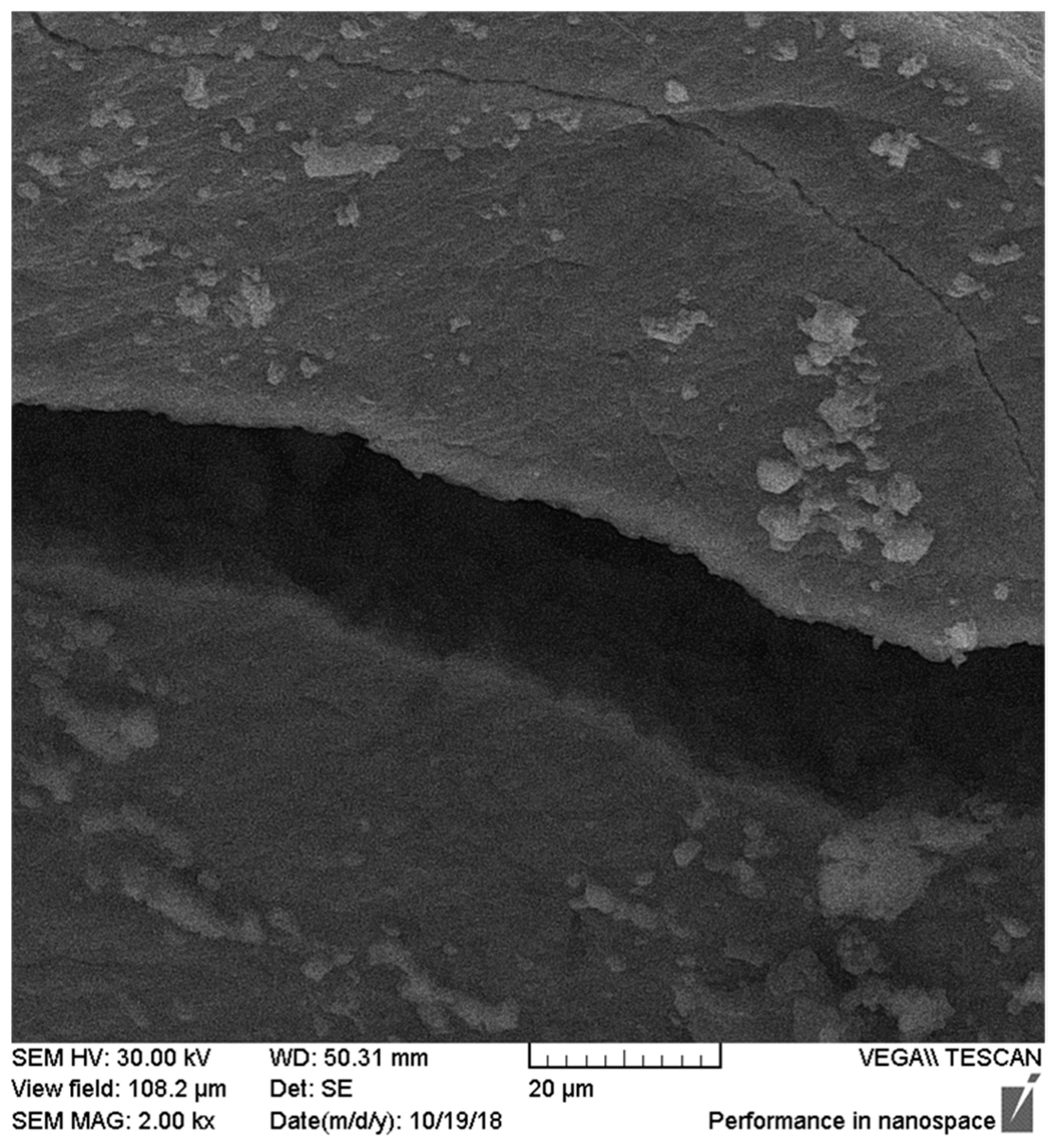 Applsci 10 07296 g004