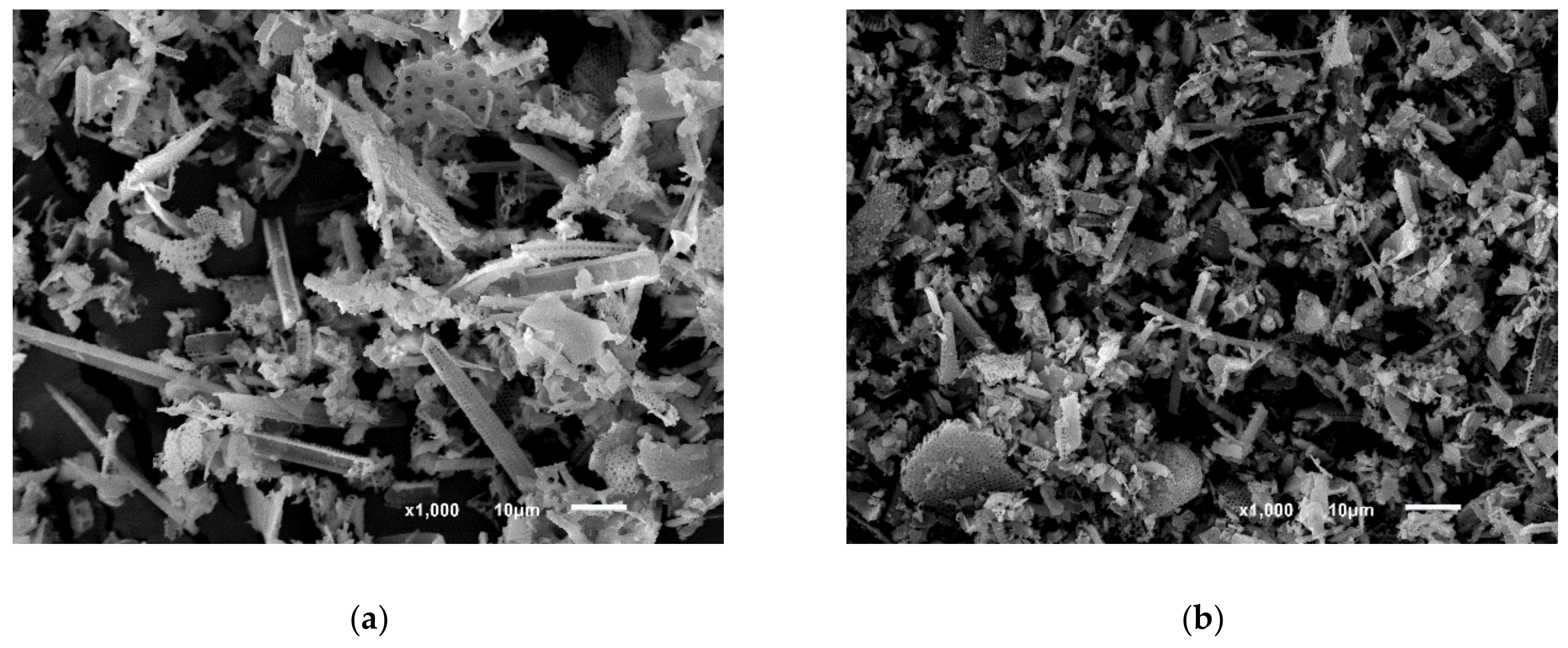 Applsci 10 07297 g002a