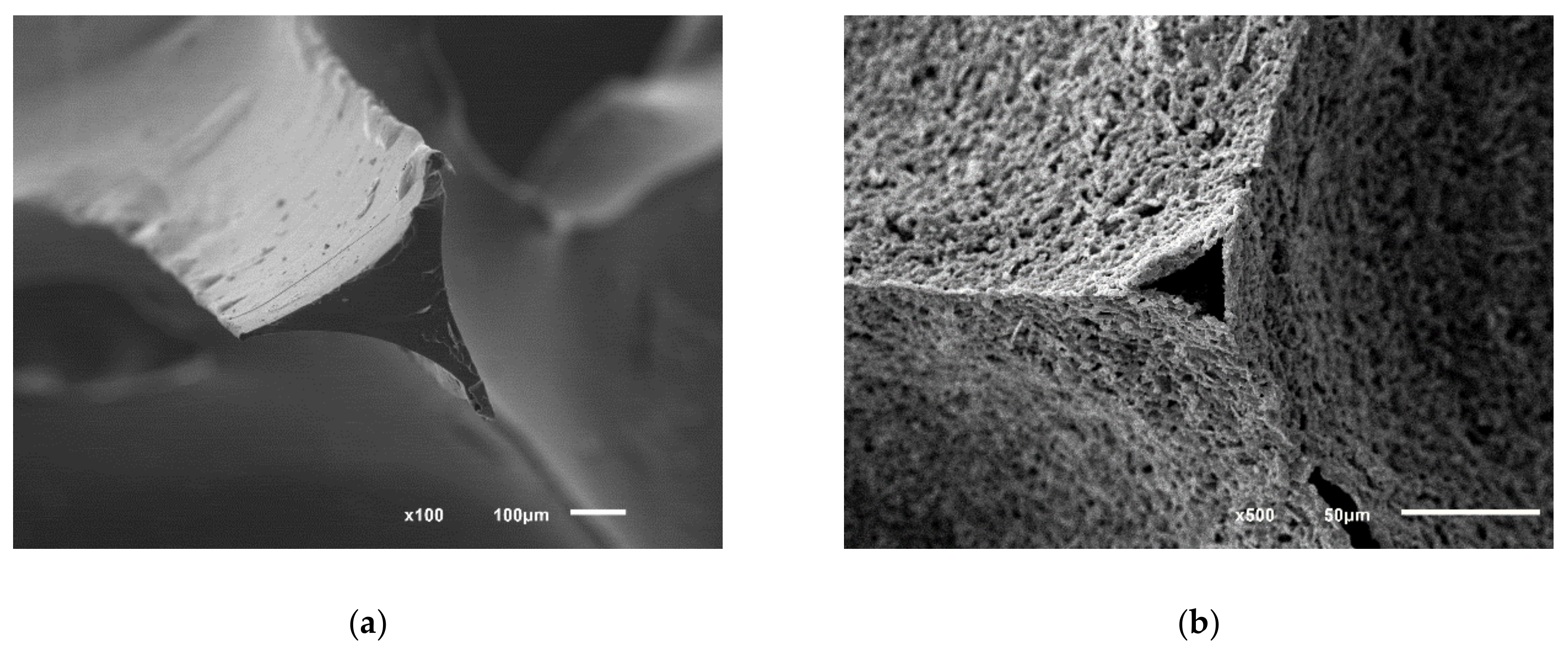 Applsci 10 07297 g003