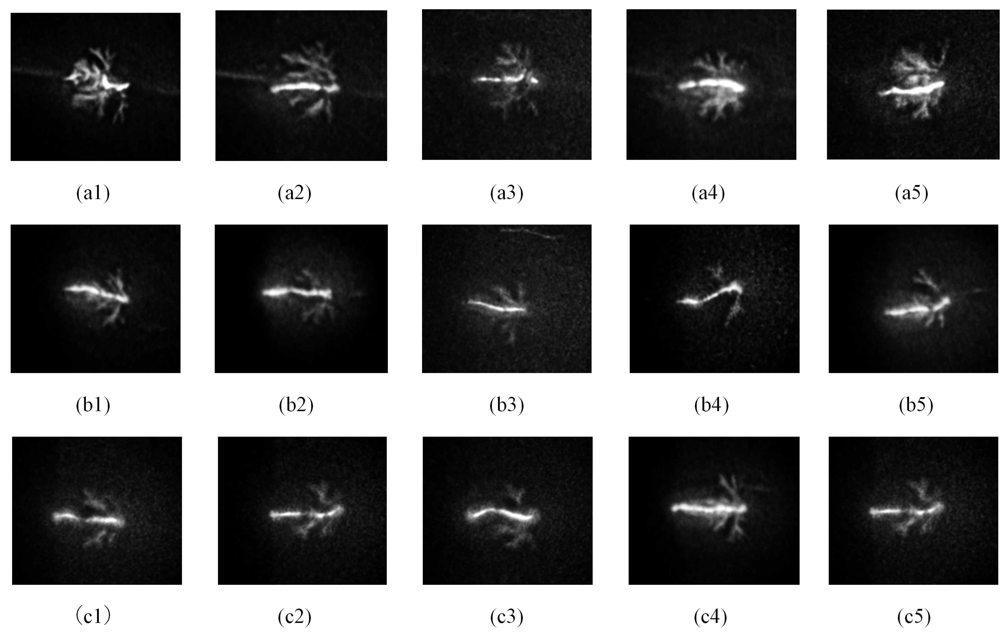 Applsci 10 07376 g004 Applsci 10 07376 g004
