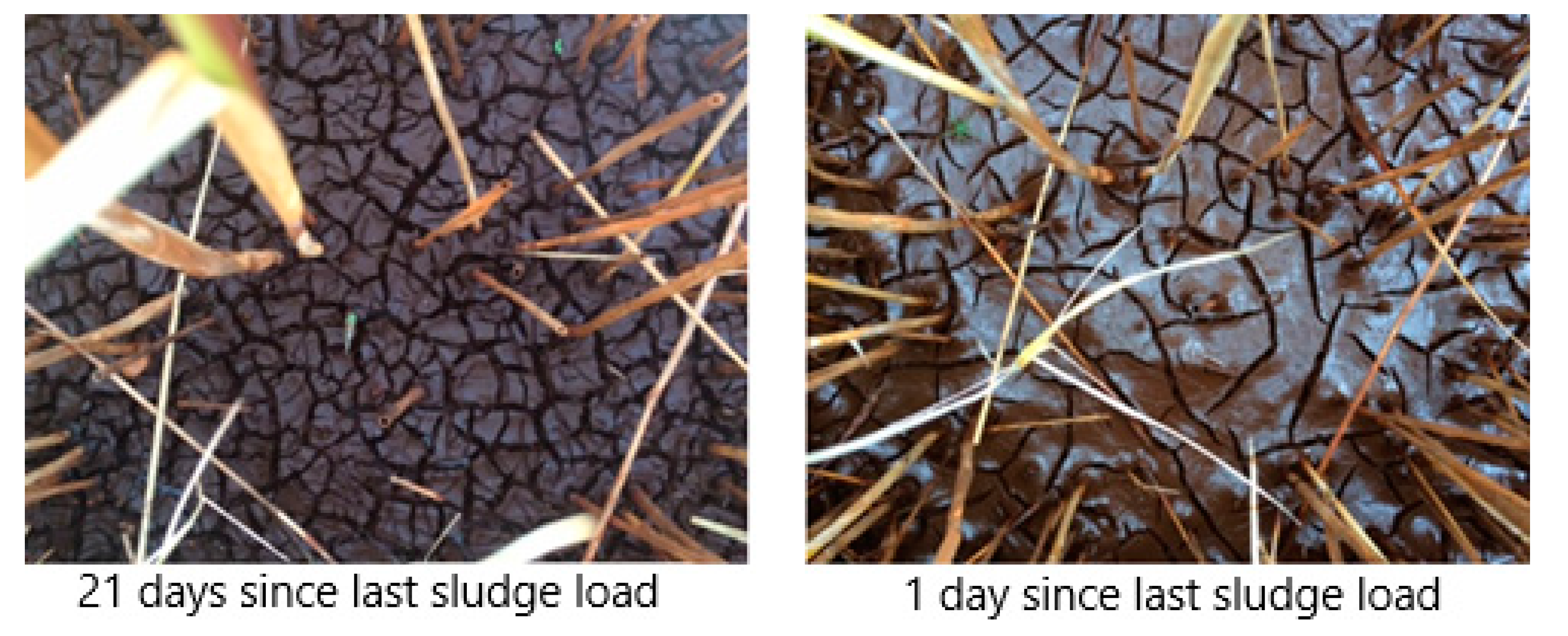 Applsci 10 07446 g012