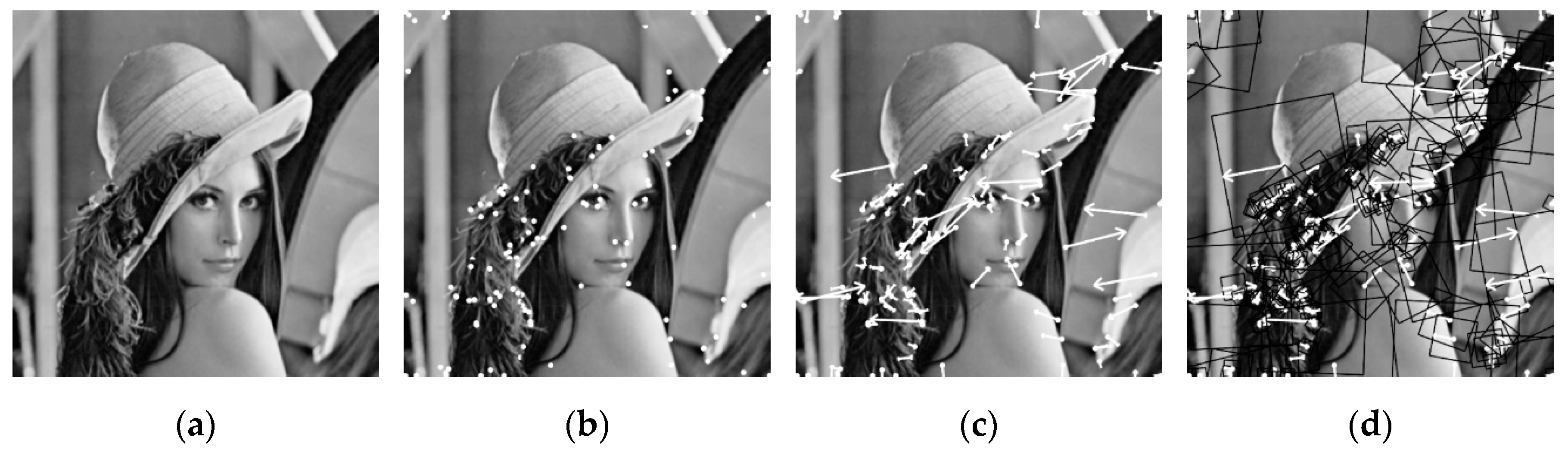 Applsci 10 07494 g004 Applsci 10 07494 g004