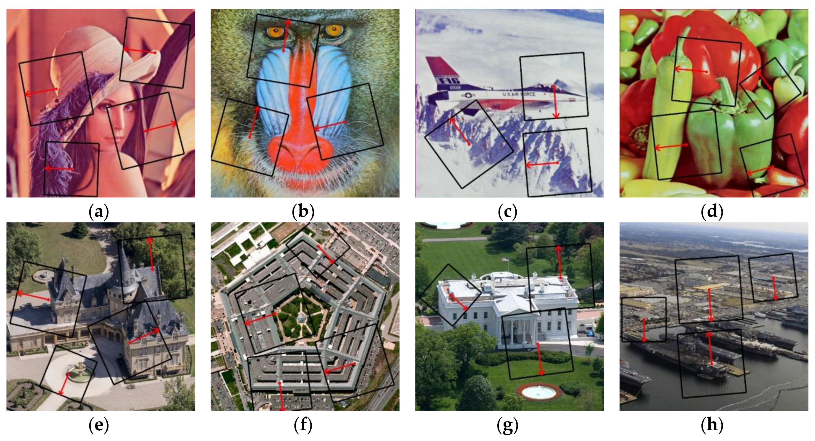 Applsci 10 07494 g005 Applsci 10 07494 g005