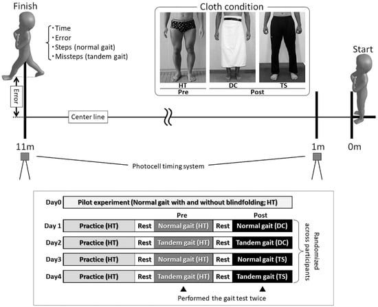 Applied Sciences | Free Full-Text | Influence of Haptic Sensory Input