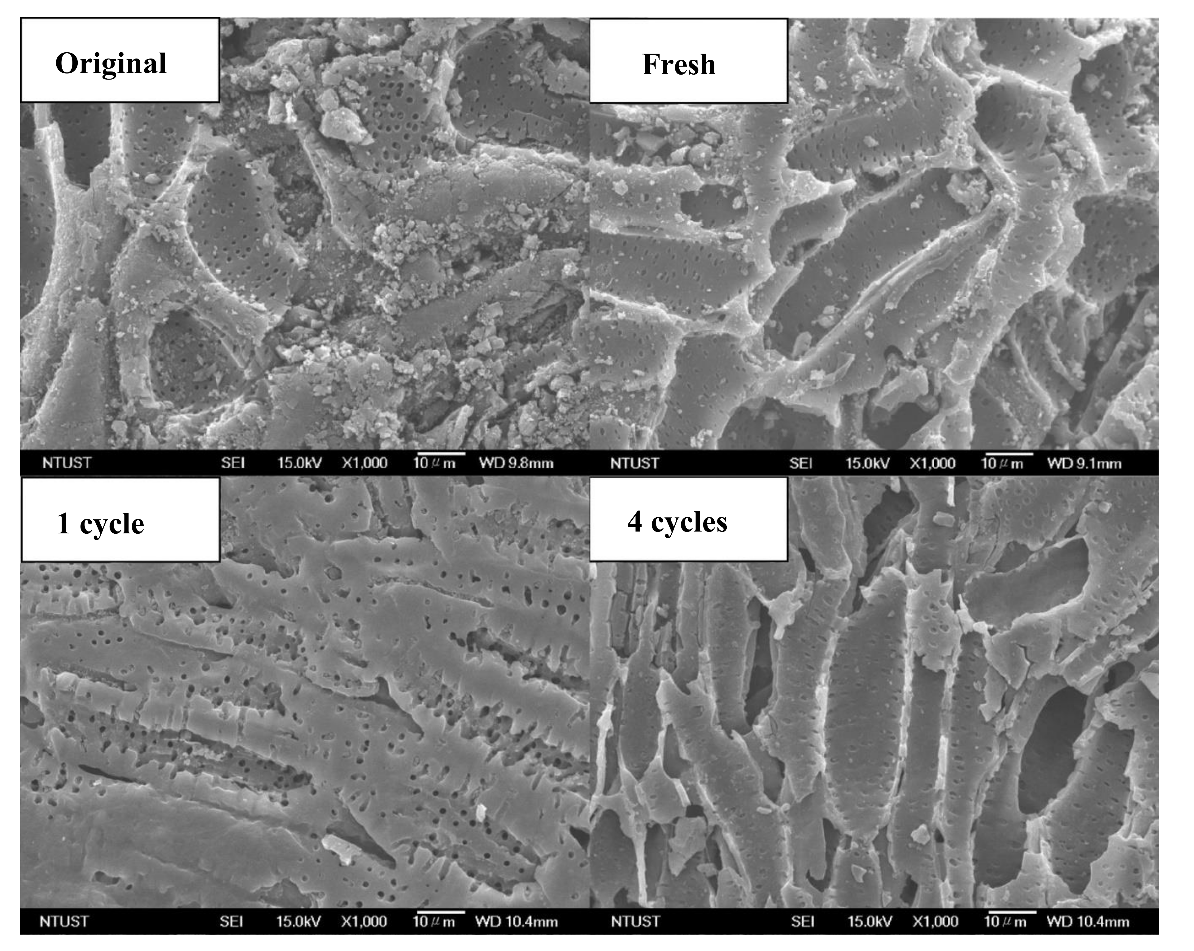 Applsci 10 07596 g002