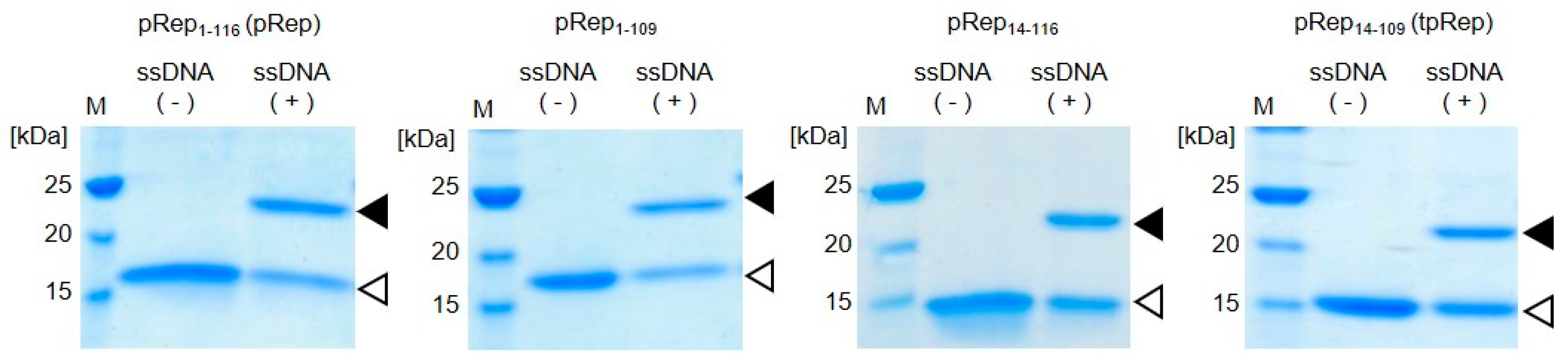 Applsci 10 07646 g002