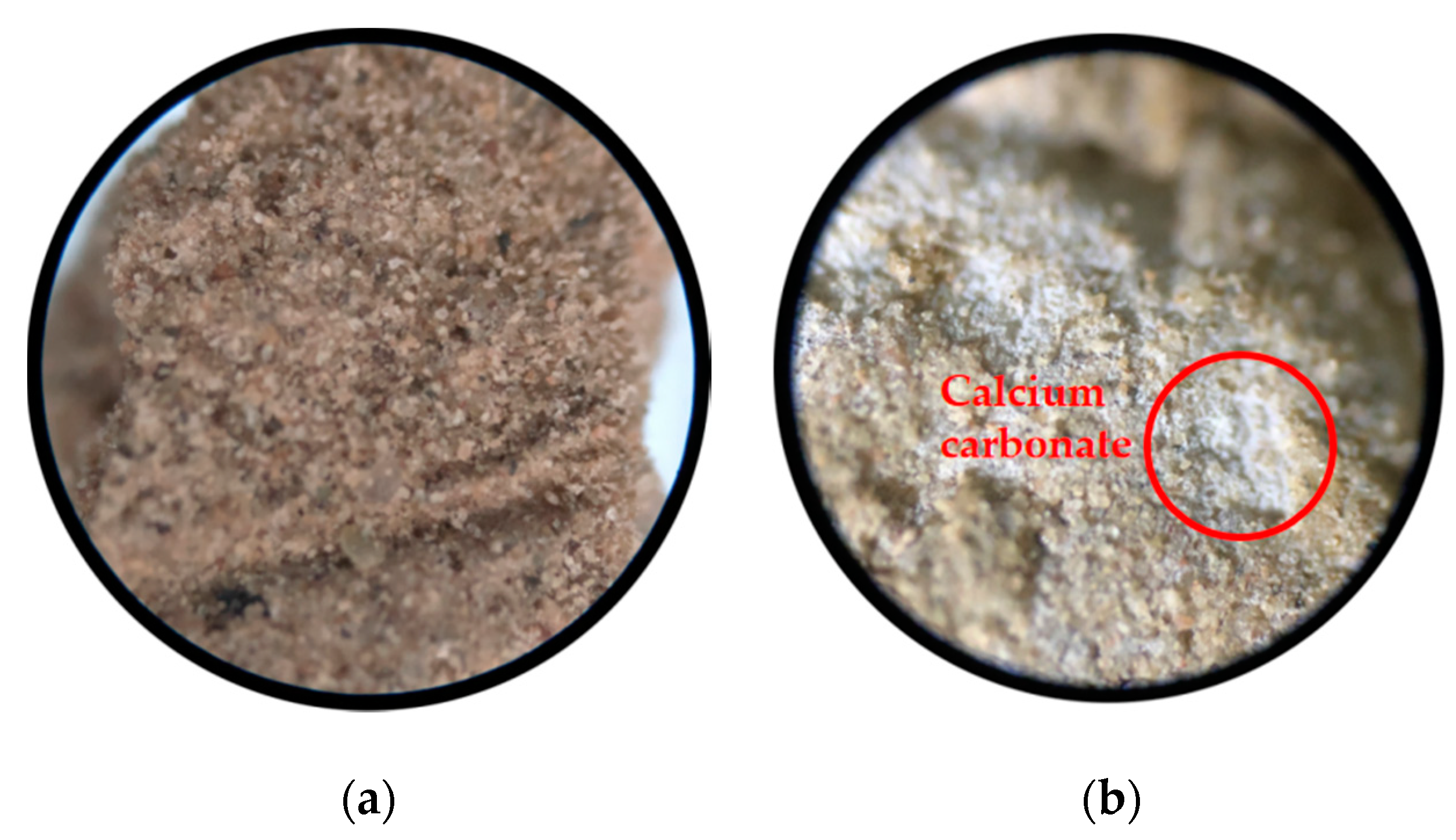 Applsci 10 07678 g010 Applsci 10 07678 g010