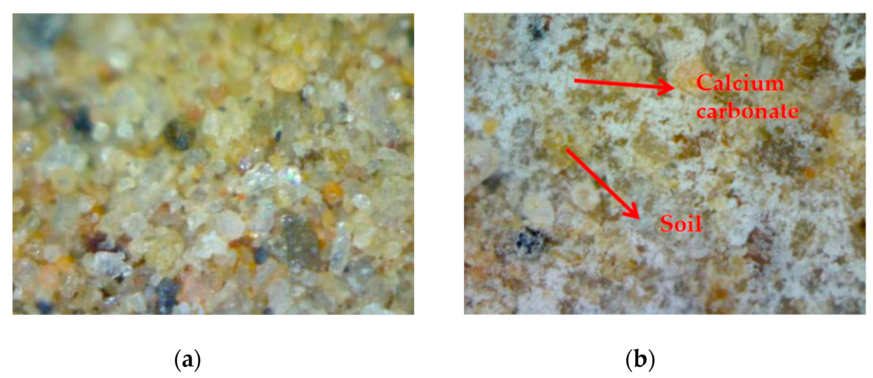 Applsci 10 07678 g011 Applsci 10 07678 g011