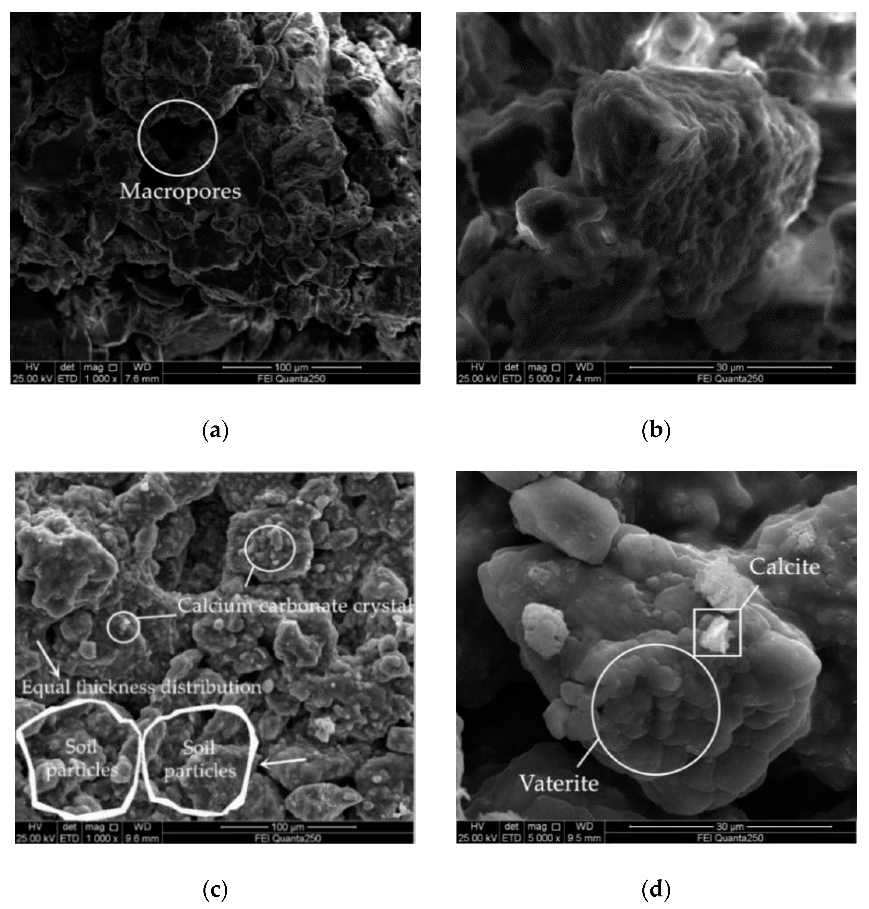 Applsci 10 07678 g012a Applsci 10 07678 g012a