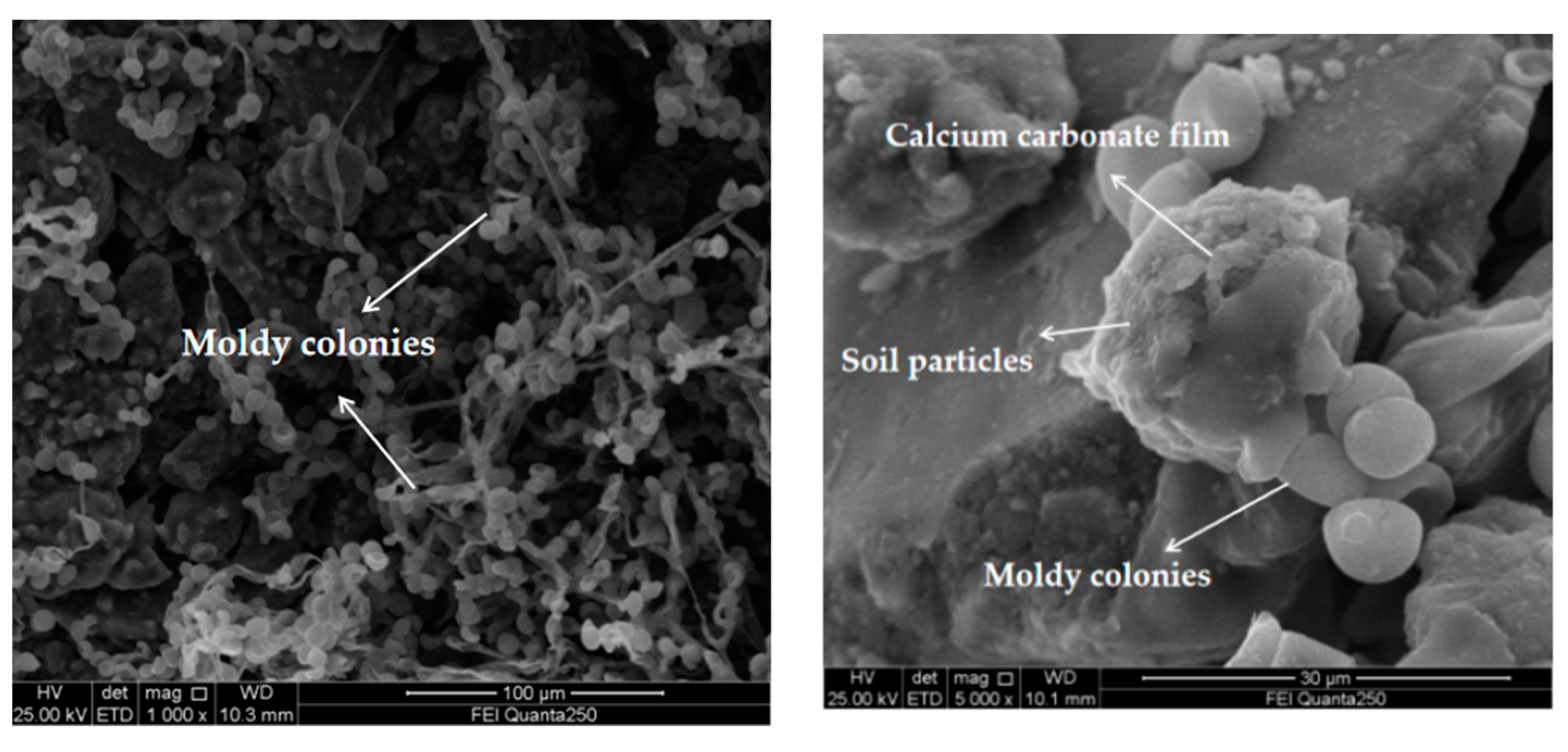 Applsci 10 07678 g013 Applsci 10 07678 g013