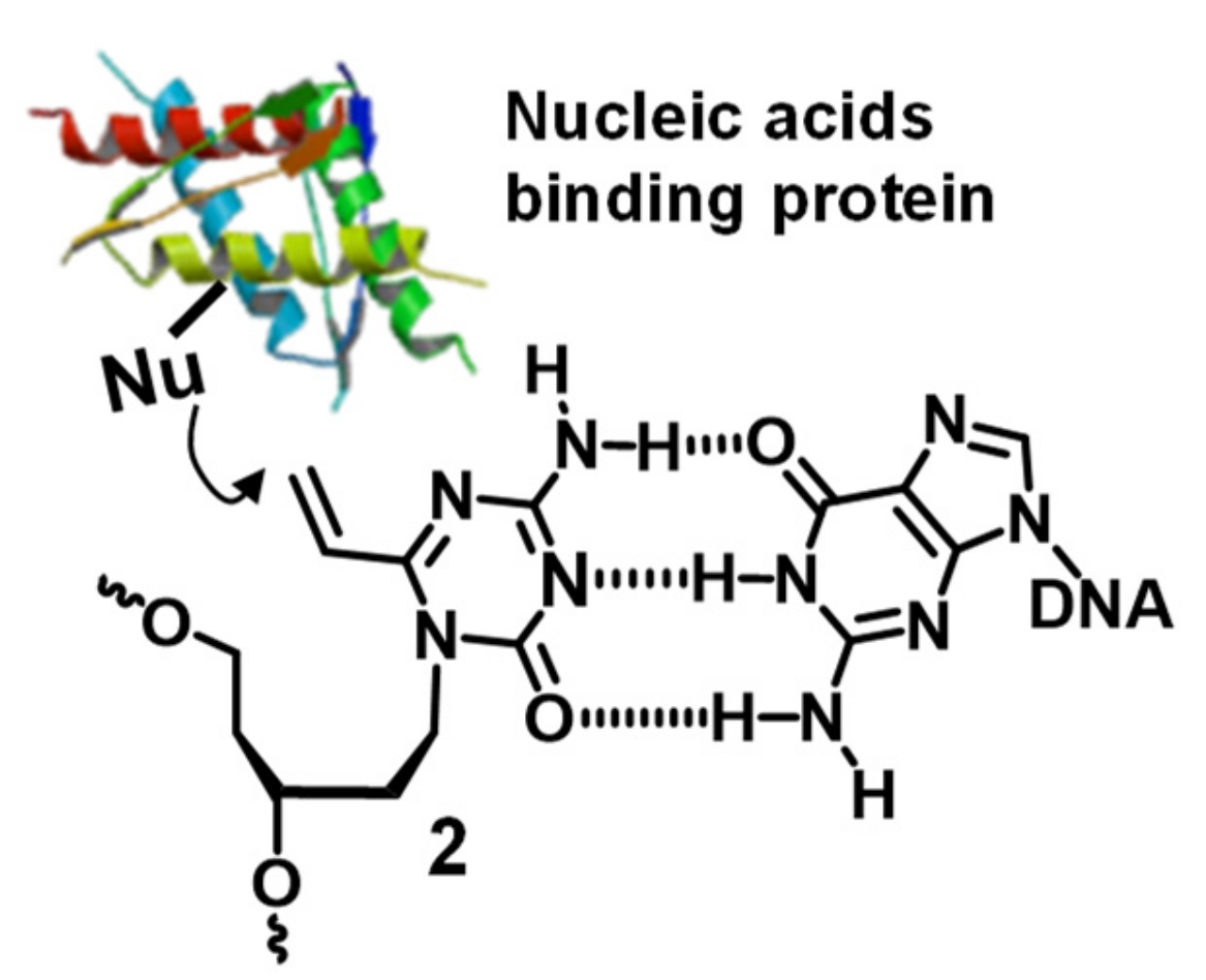 Applsci 10 07709 g002