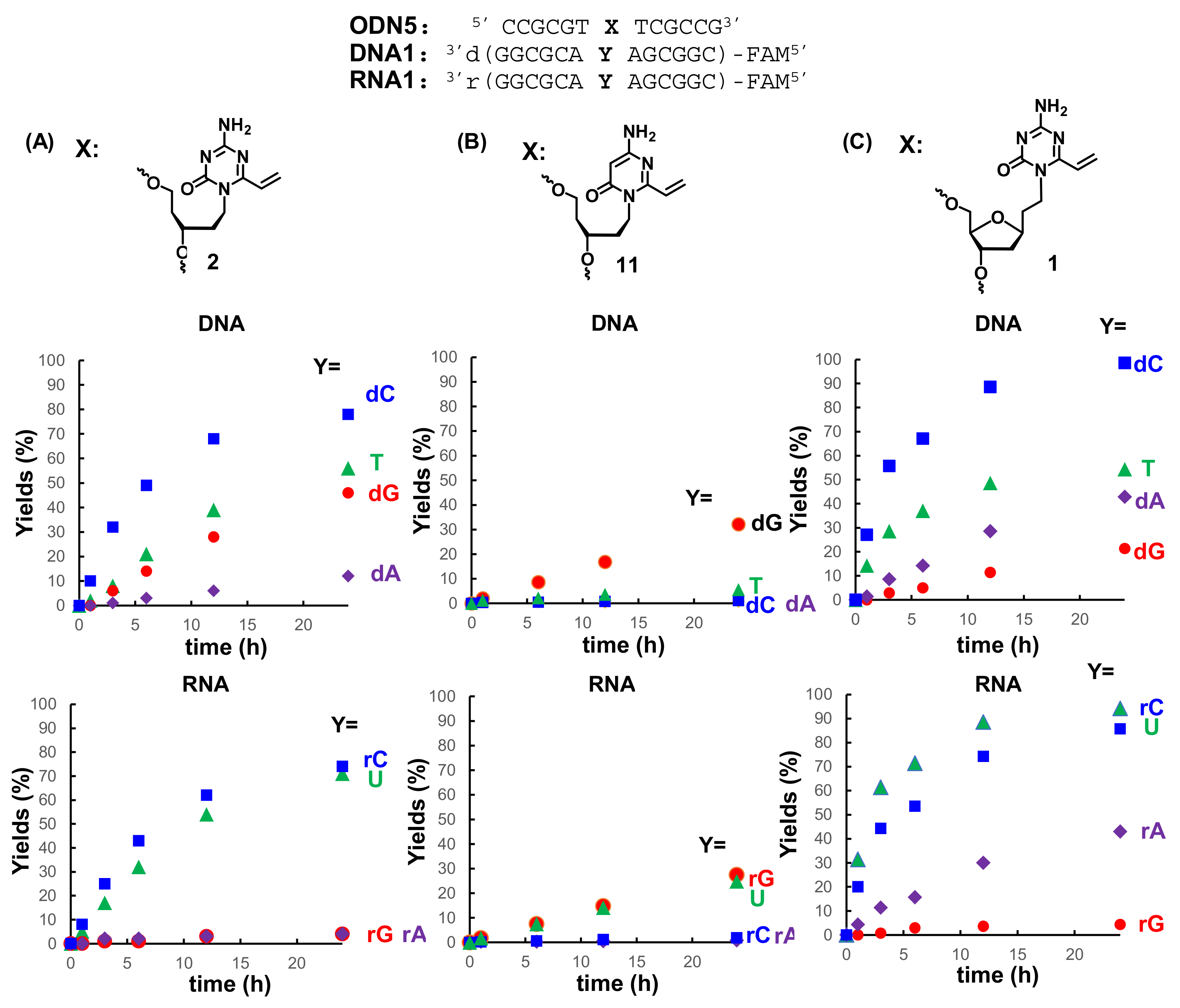 Applied Sciences Free Full Text Design Of The Crosslinking Reactions For Nucleic Acids Binding Protein And Evaluation Of The Reactivity Html