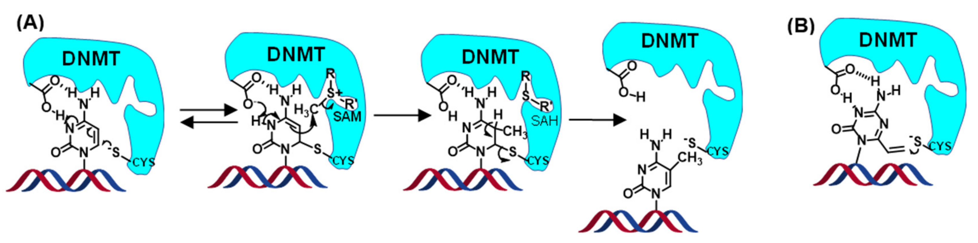 Applsci 10 07709 g006