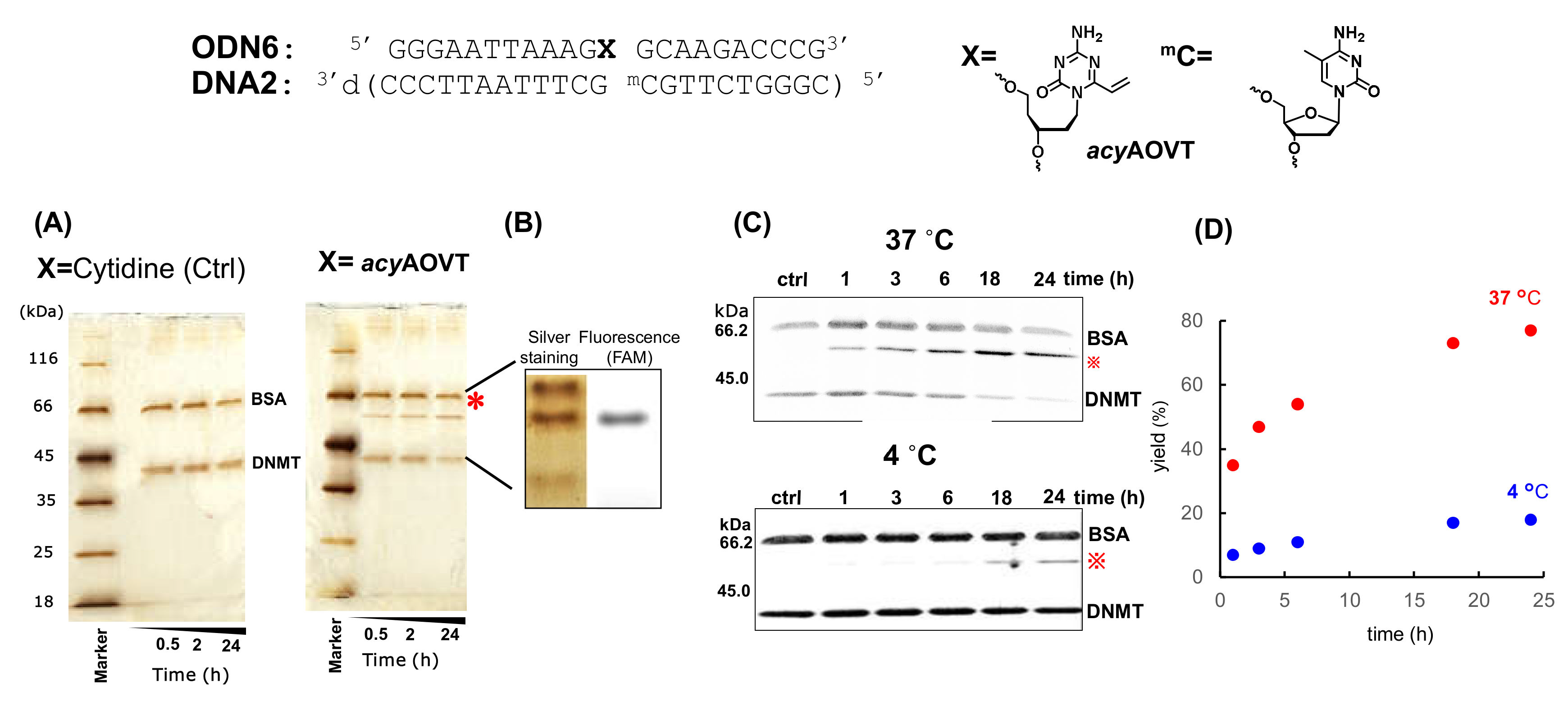Applsci 10 07709 g007