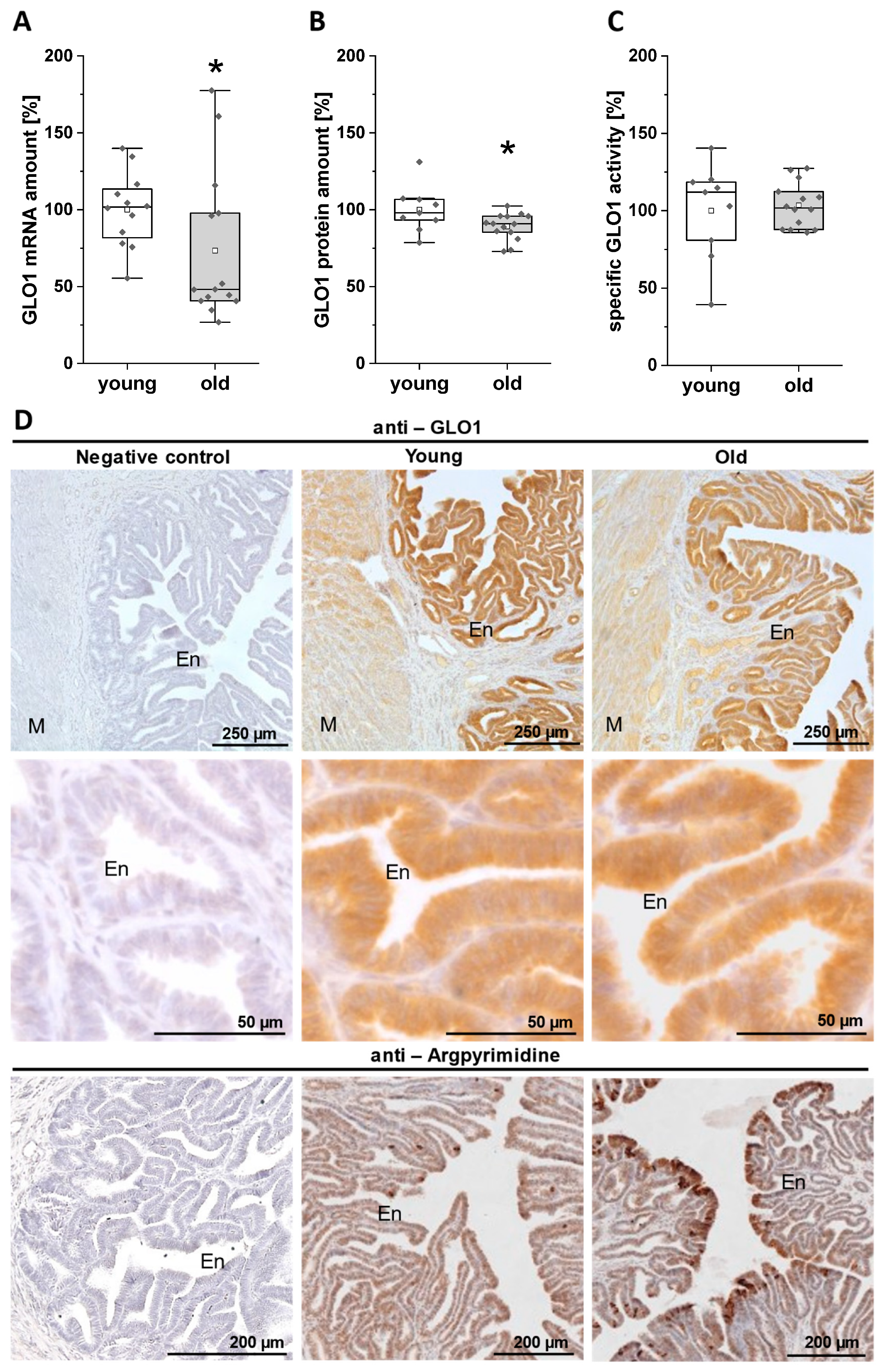 Applsci 10 07732 g004