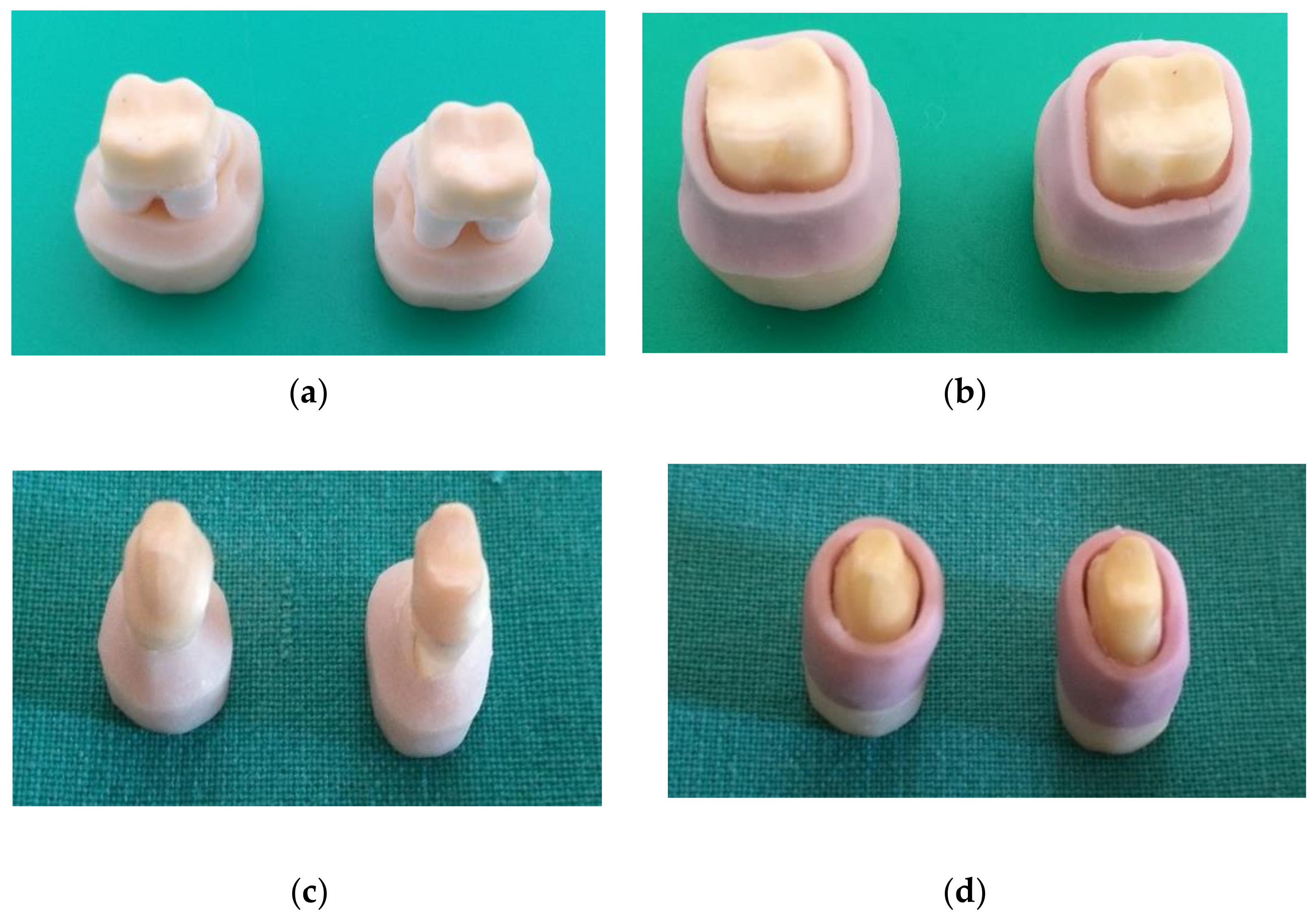 Applsci 10 07762 g003 Applsci 10 07762 g003