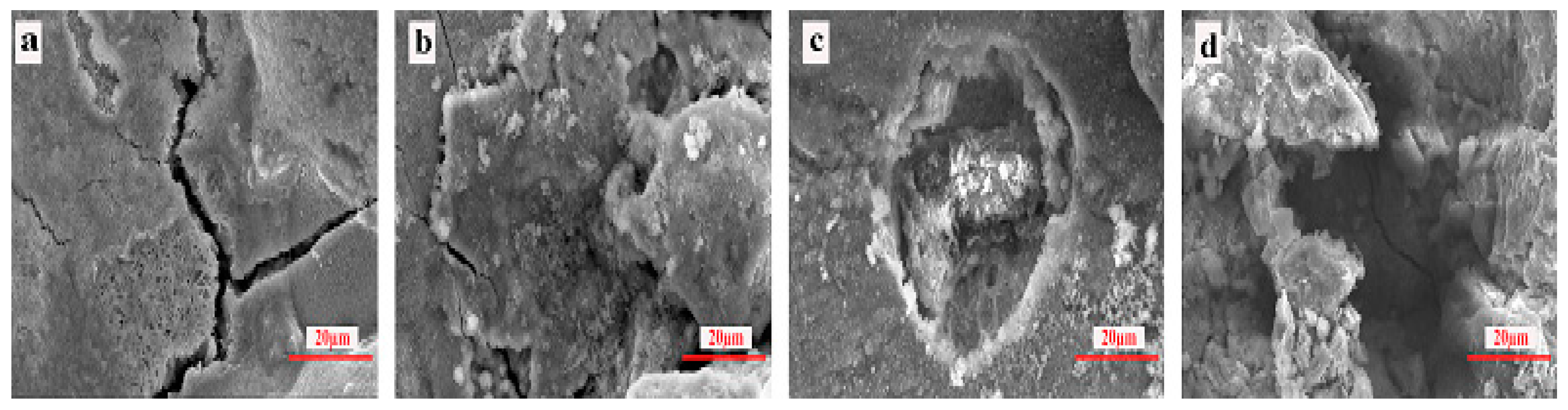 Applsci 10 07776 g009