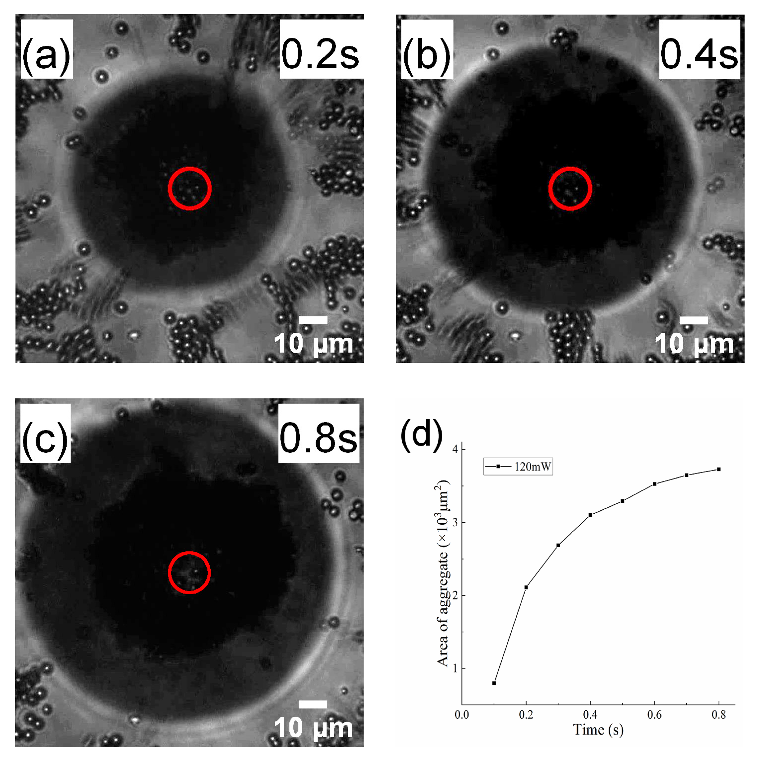 Applsci 10 07795 g006