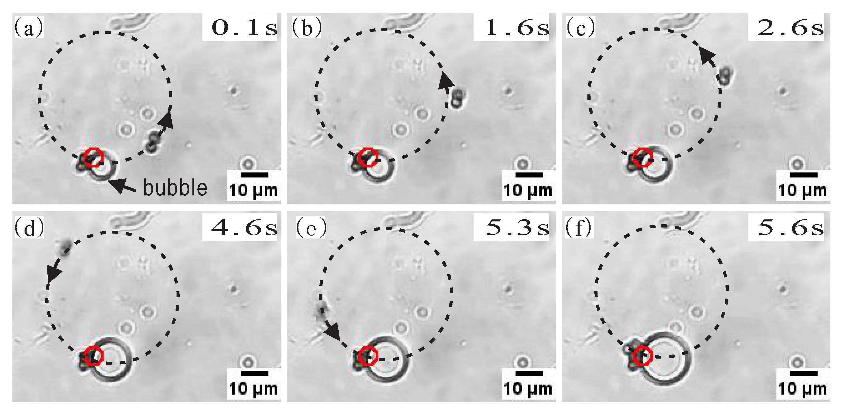 Applsci 10 07795 g007