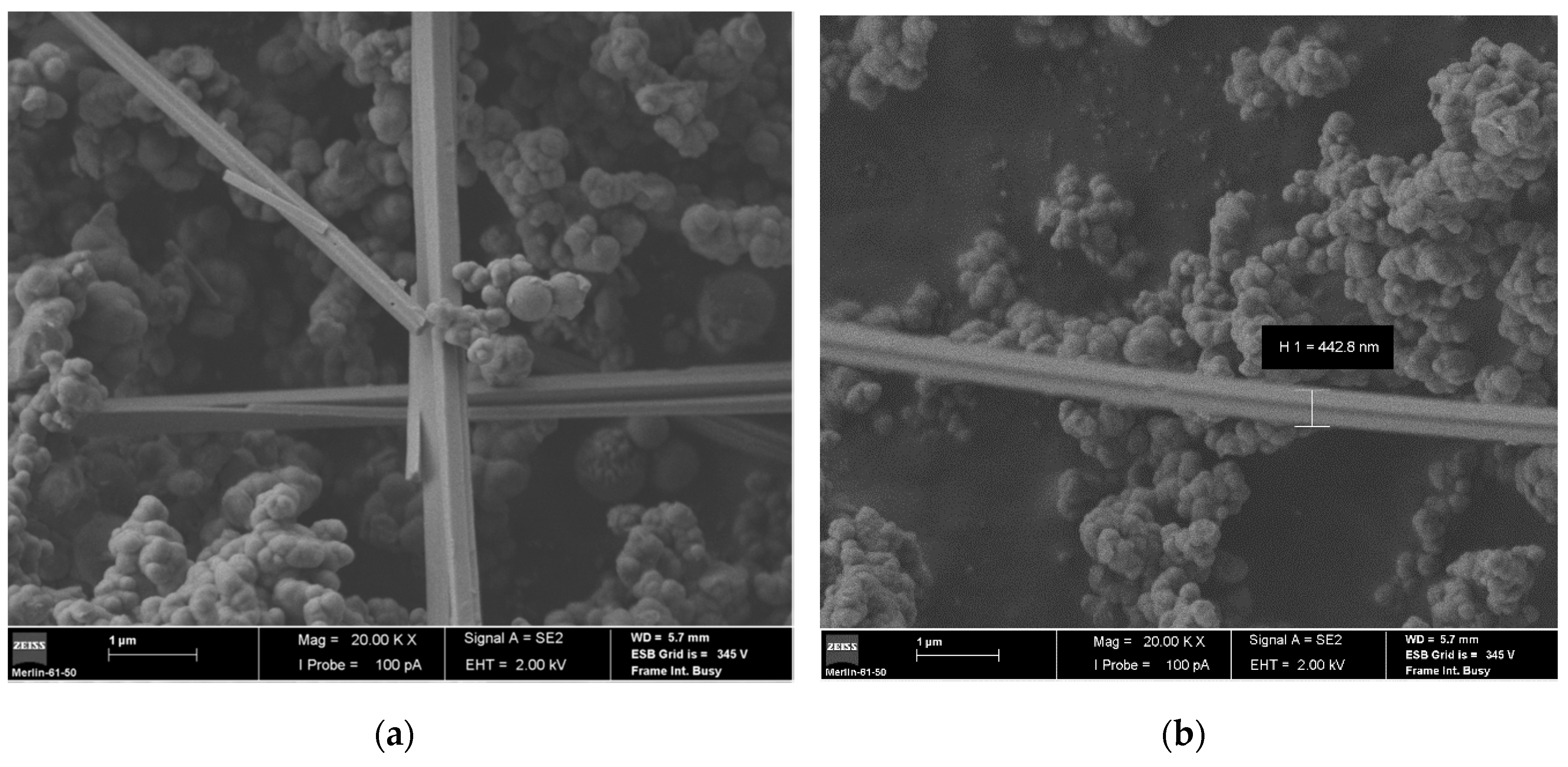 Applsci 10 07950 g008 Applsci 10 07950 g008