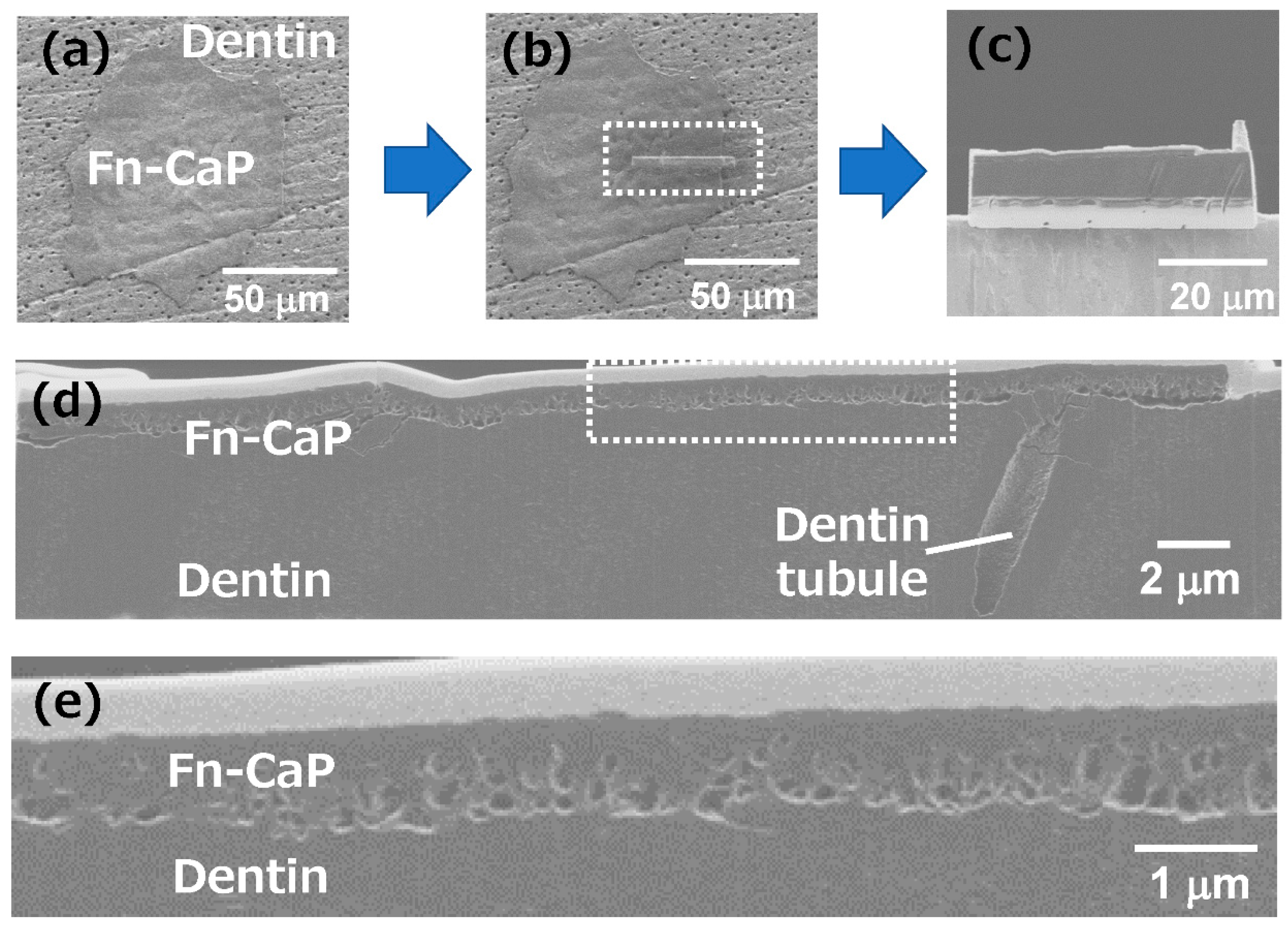 Applsci 10 07984 g007 Applsci 10 07984 g007