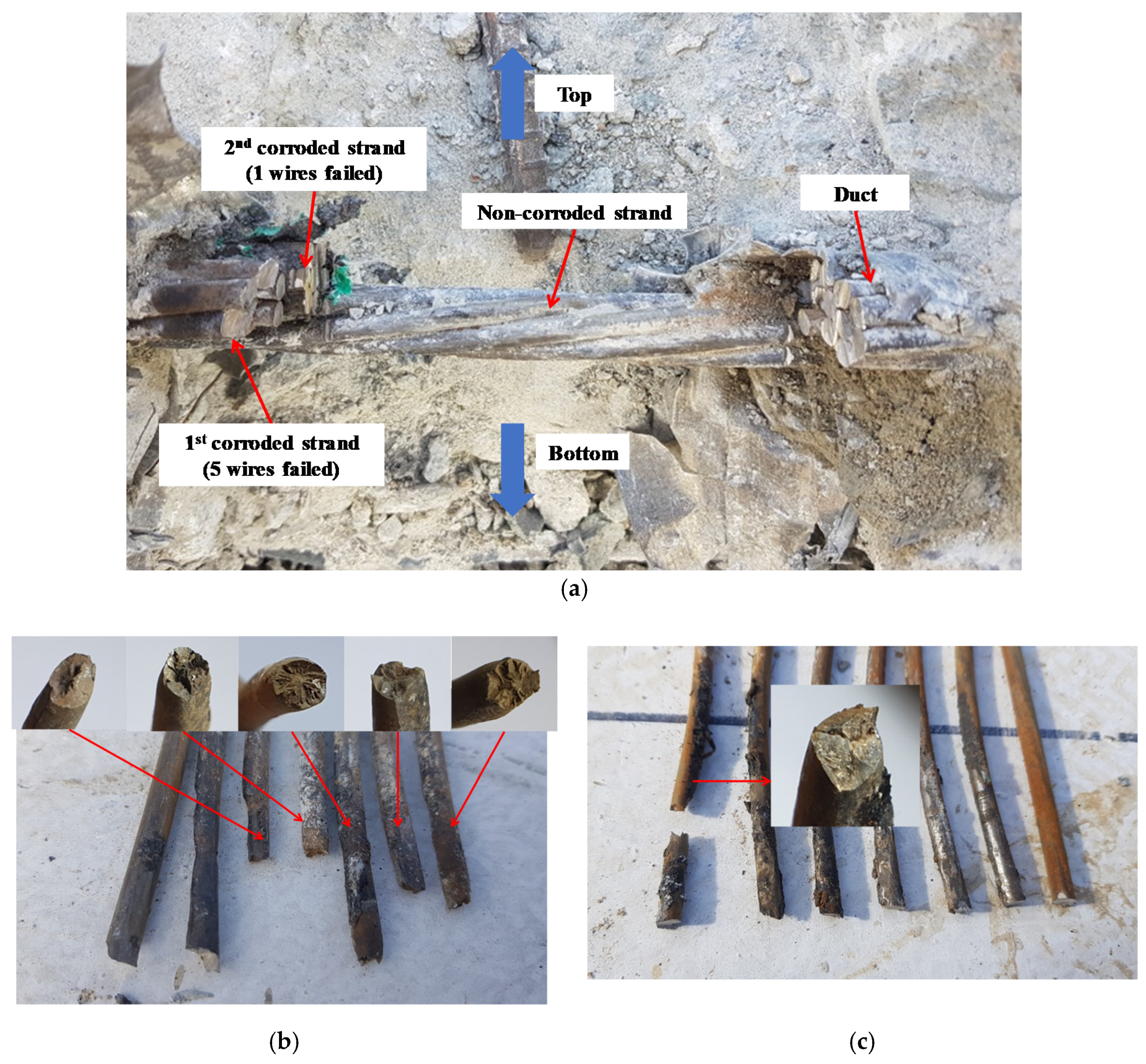 Applsci 10 07994 g006