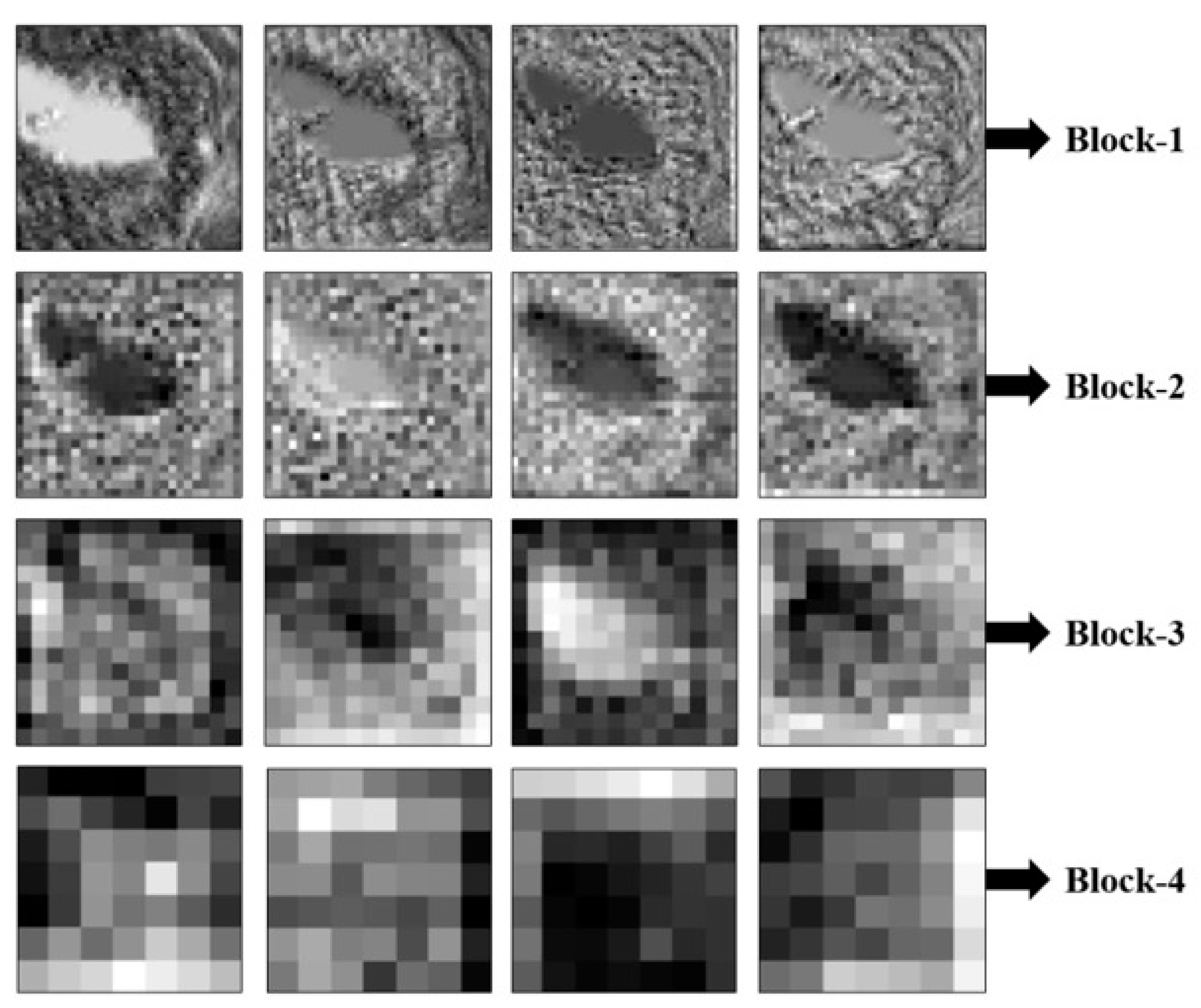 Applied Sciences | Free Full-Text | An Efficient Lightweight CNN and ...