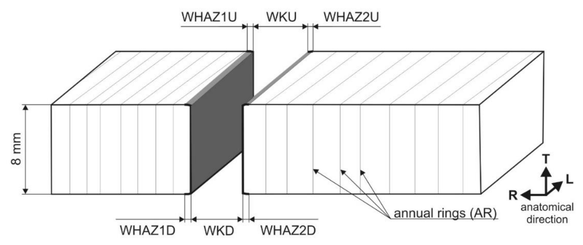 Applsci 10 08113 g001