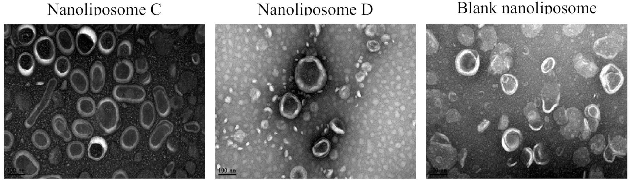 Applsci 10 08148 g001 Applsci 10 08148 g001