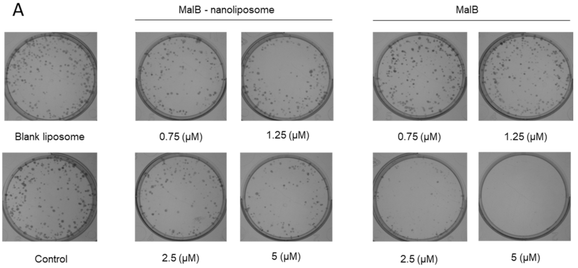Applsci 10 08148 g003a Applsci 10 08148 g003a