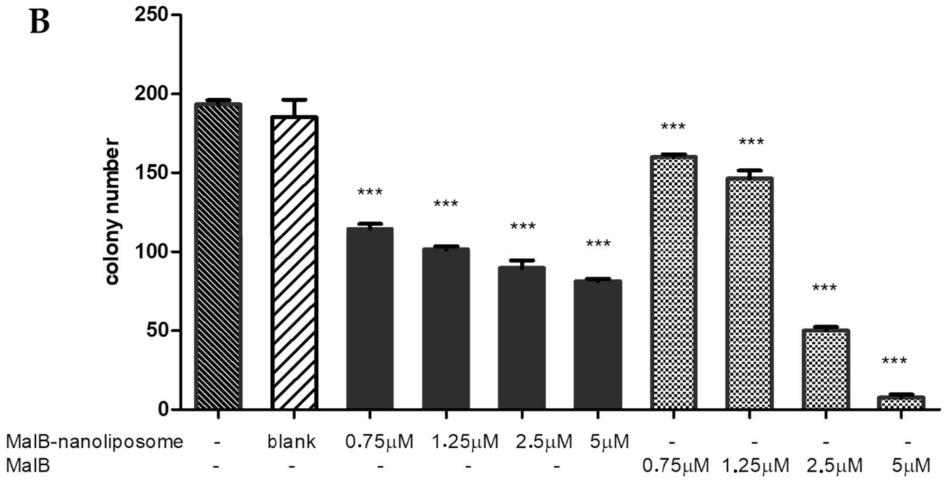Applsci 10 08148 g003b Applsci 10 08148 g003b