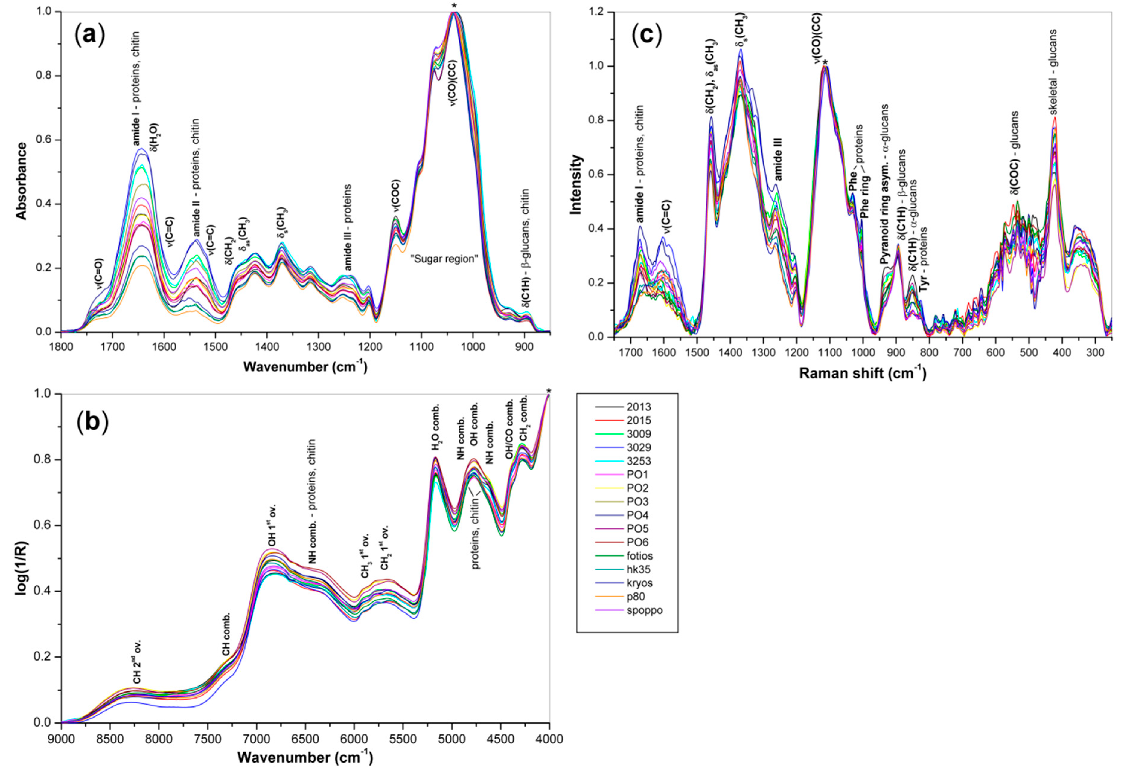 Applied Sciences Free Full Text Evaluation Of The Cultivated Mushroom Pleurotus Ostreatus Basidiocarps Using Vibration Spectroscopy And Chemometrics Html