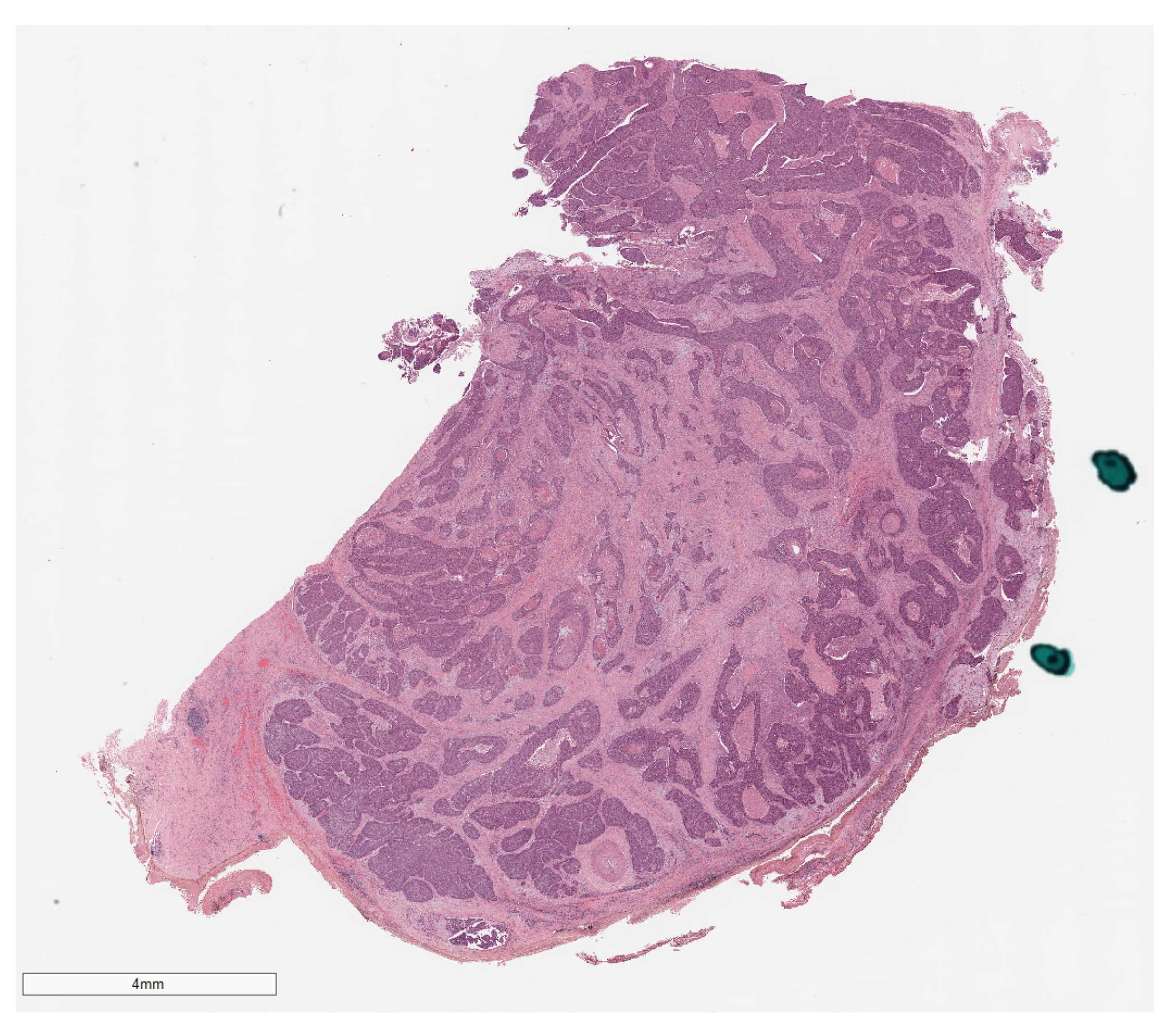 Applsci 10 08285 g001 Applsci 10 08285 g001