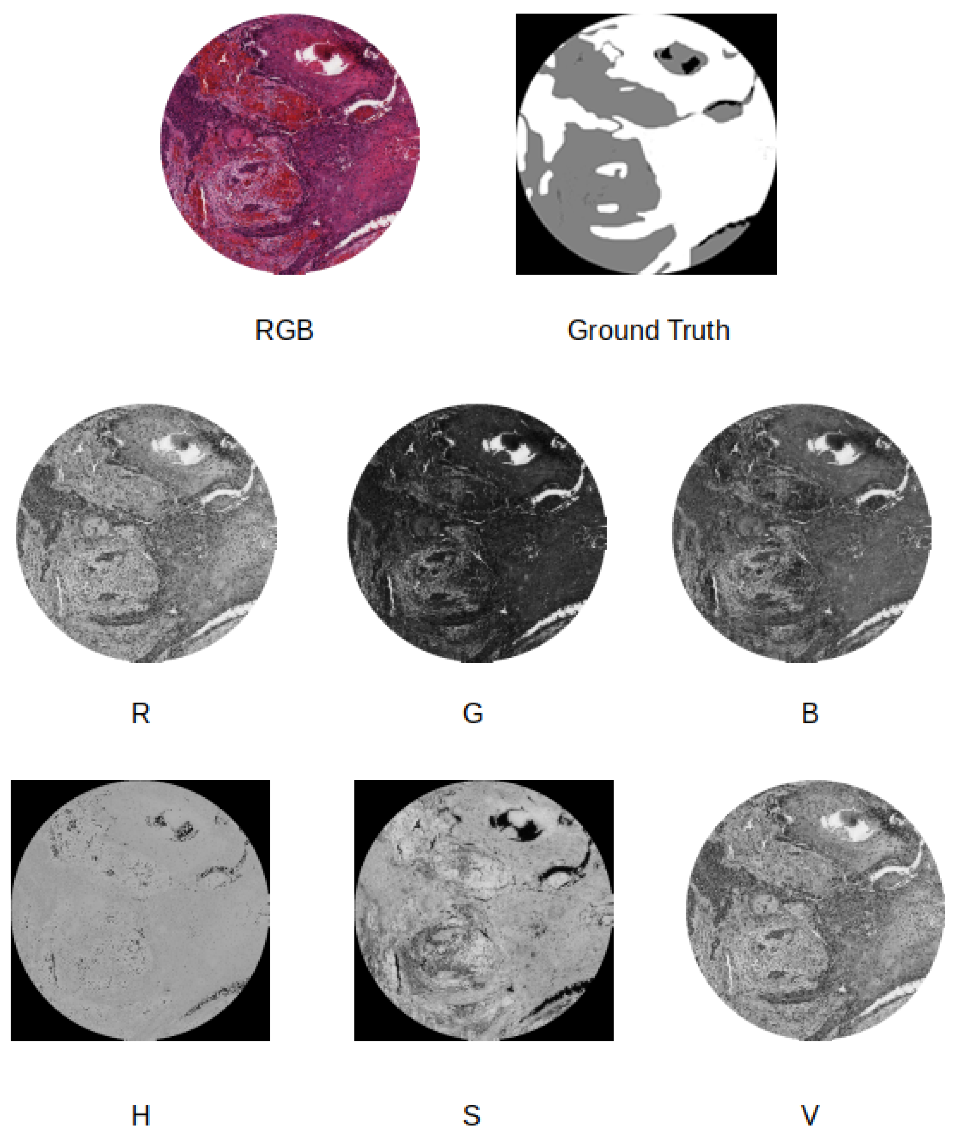 Applsci 10 08285 g007 Applsci 10 08285 g007