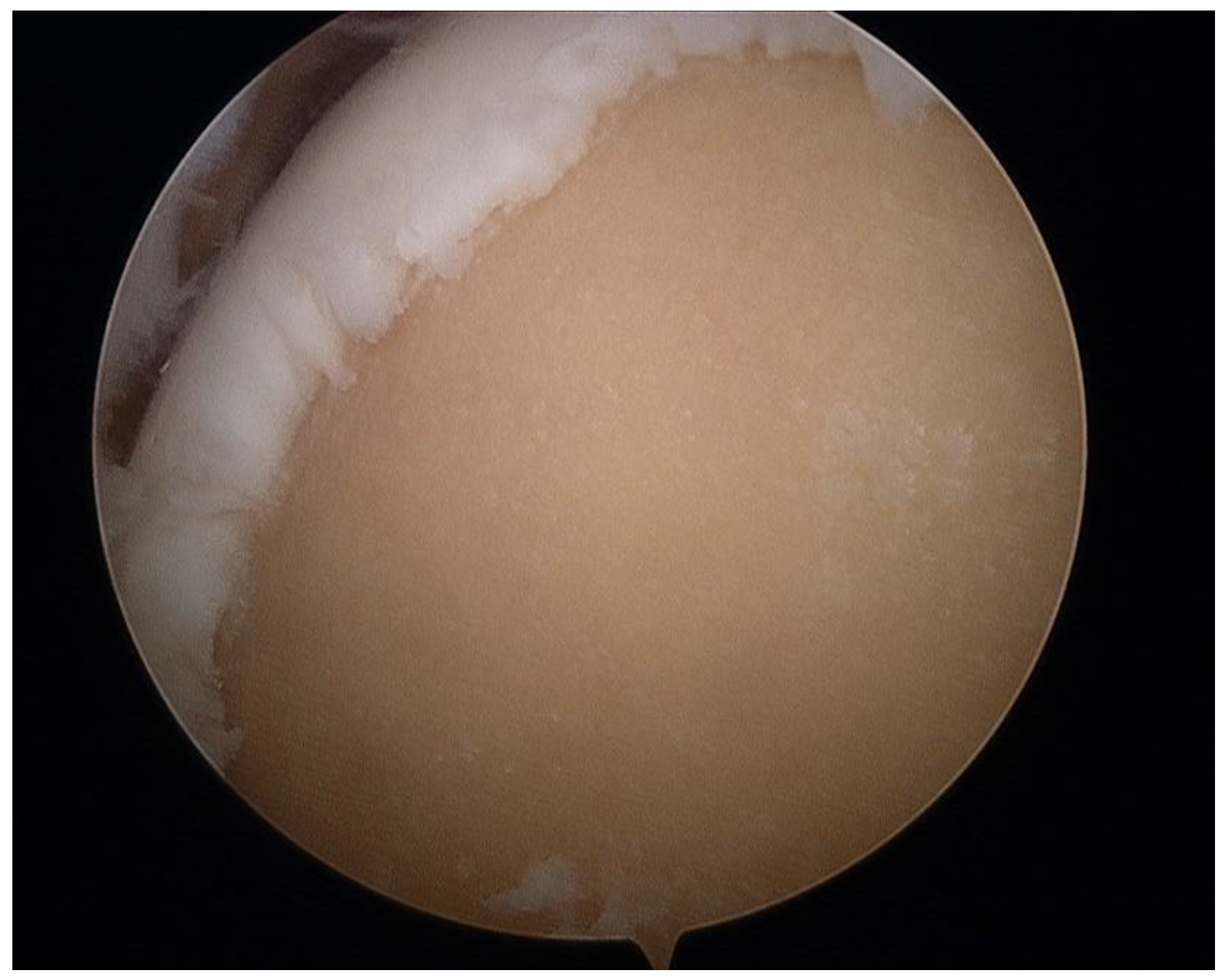 Applsci 10 08312 g001