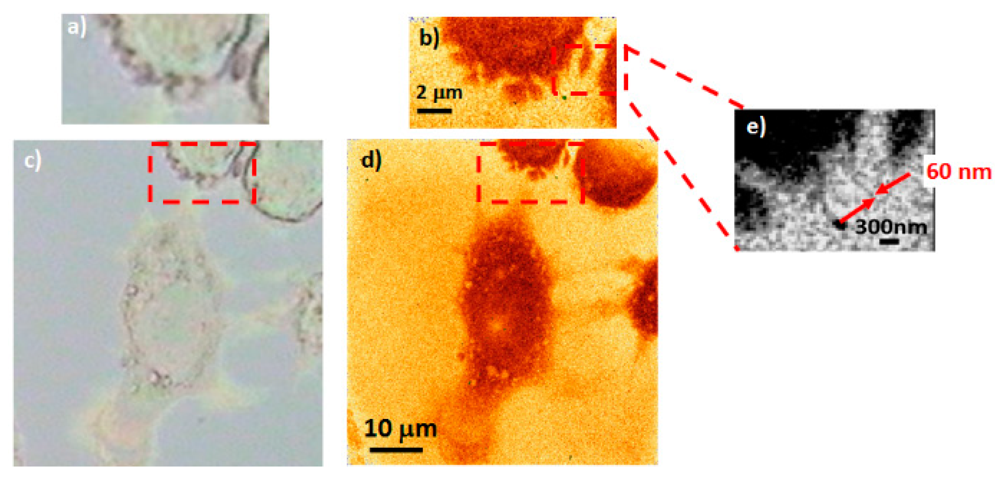 Applsci 10 08338 g017 Applsci 10 08338 g017