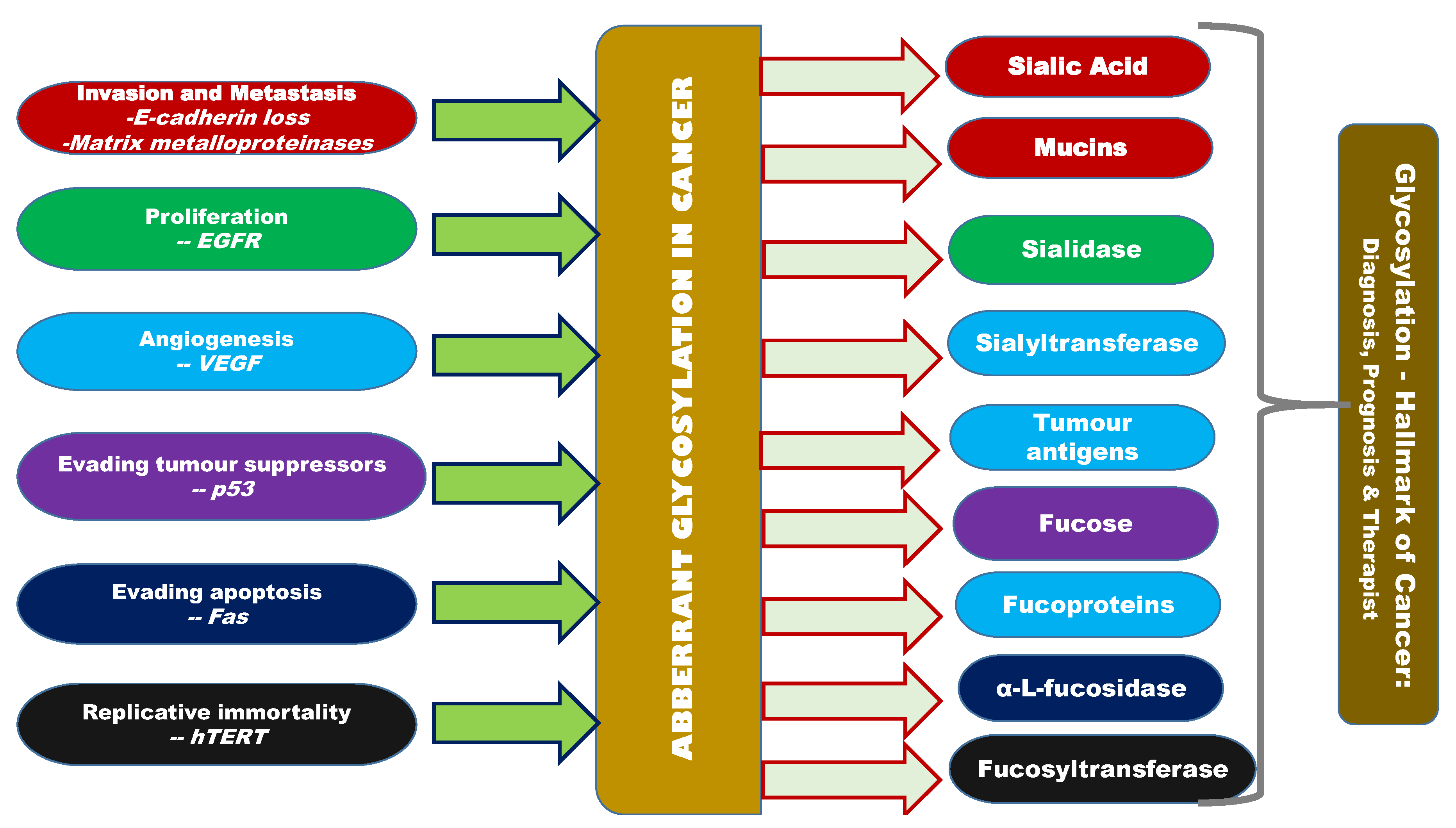 Applsci 10 08401 g002 Applsci 10 08401 g002