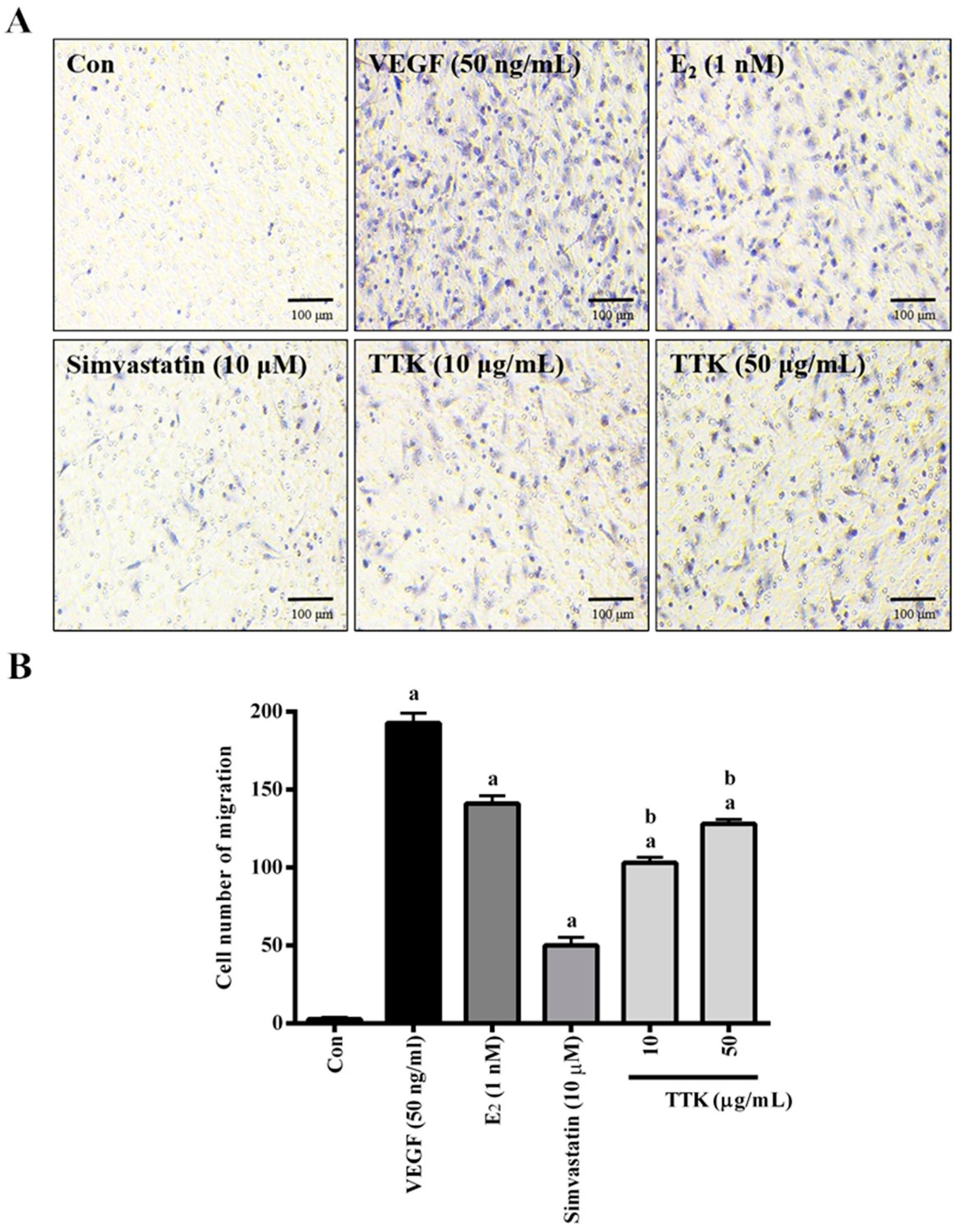 Applsci 10 08562 g002