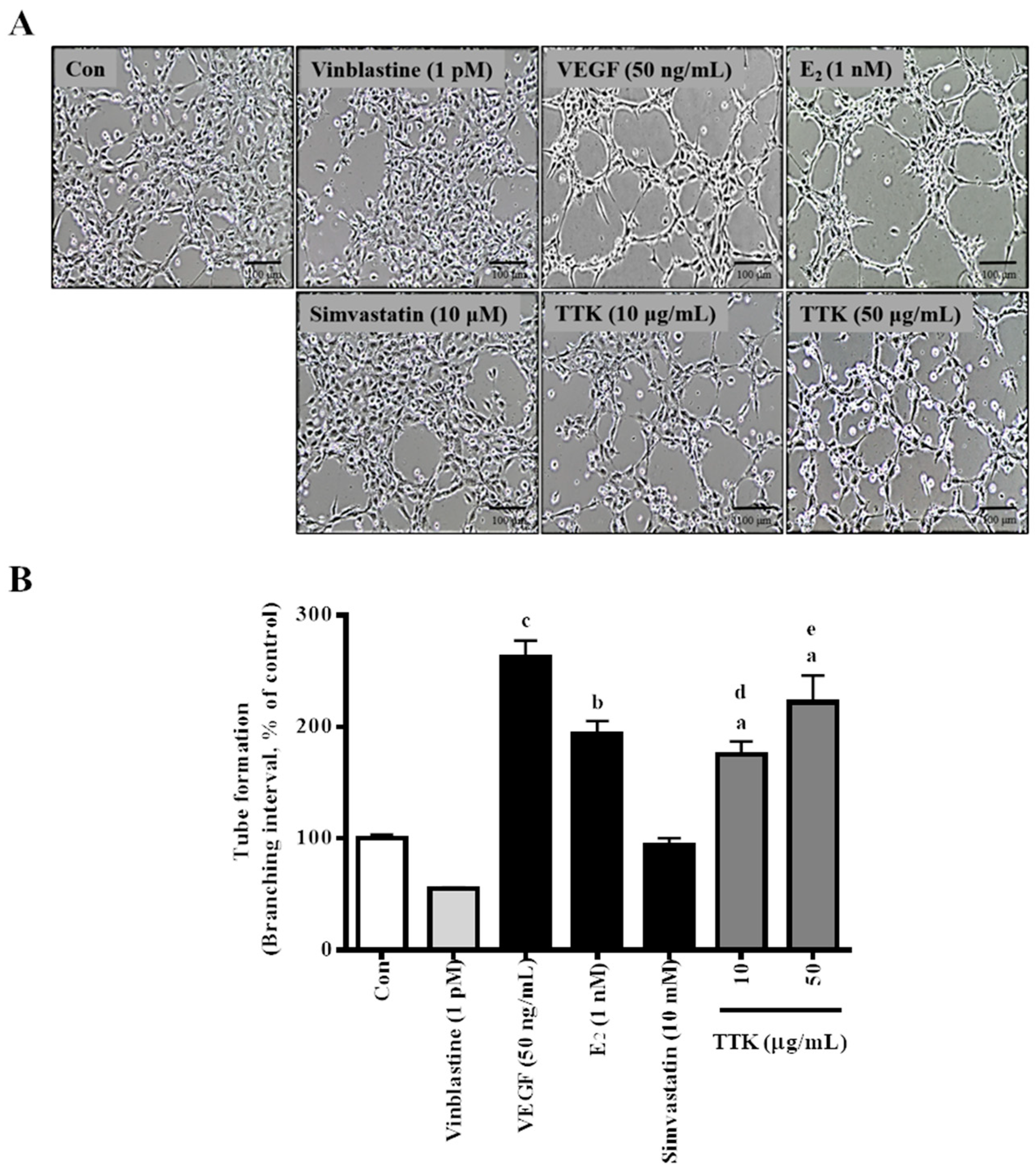 Applsci 10 08562 g003