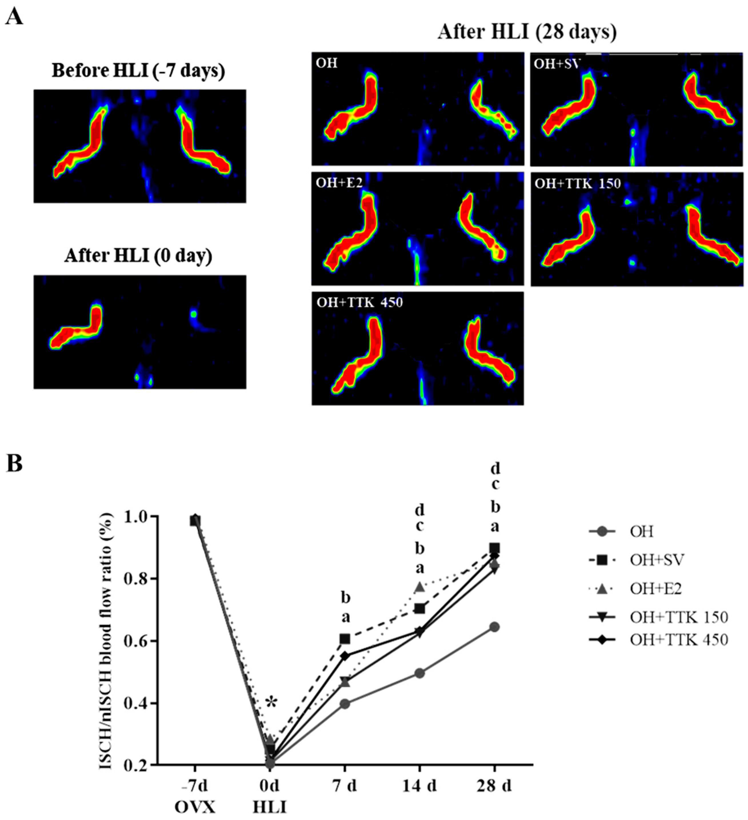 Applsci 10 08562 g004