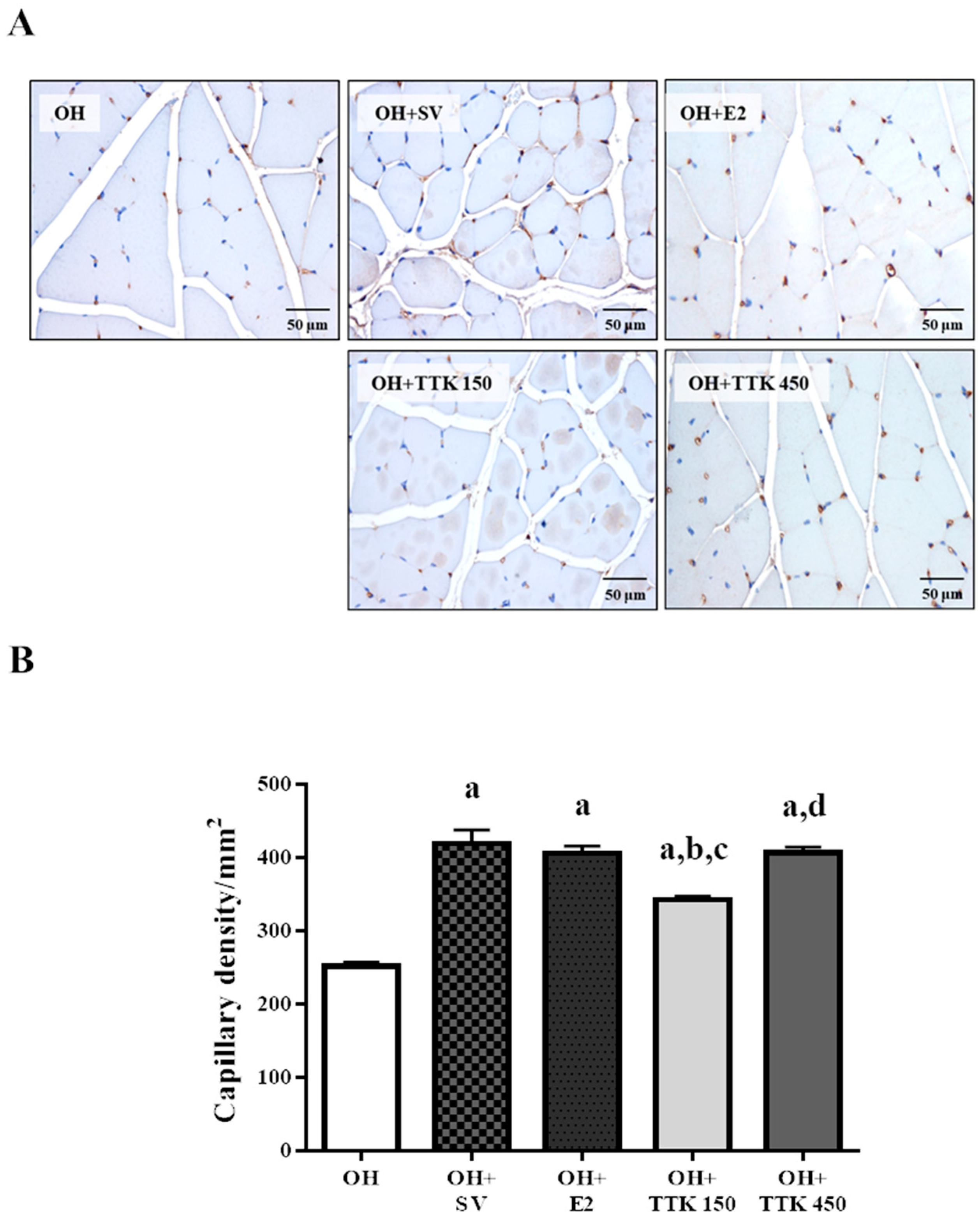 Applsci 10 08562 g005