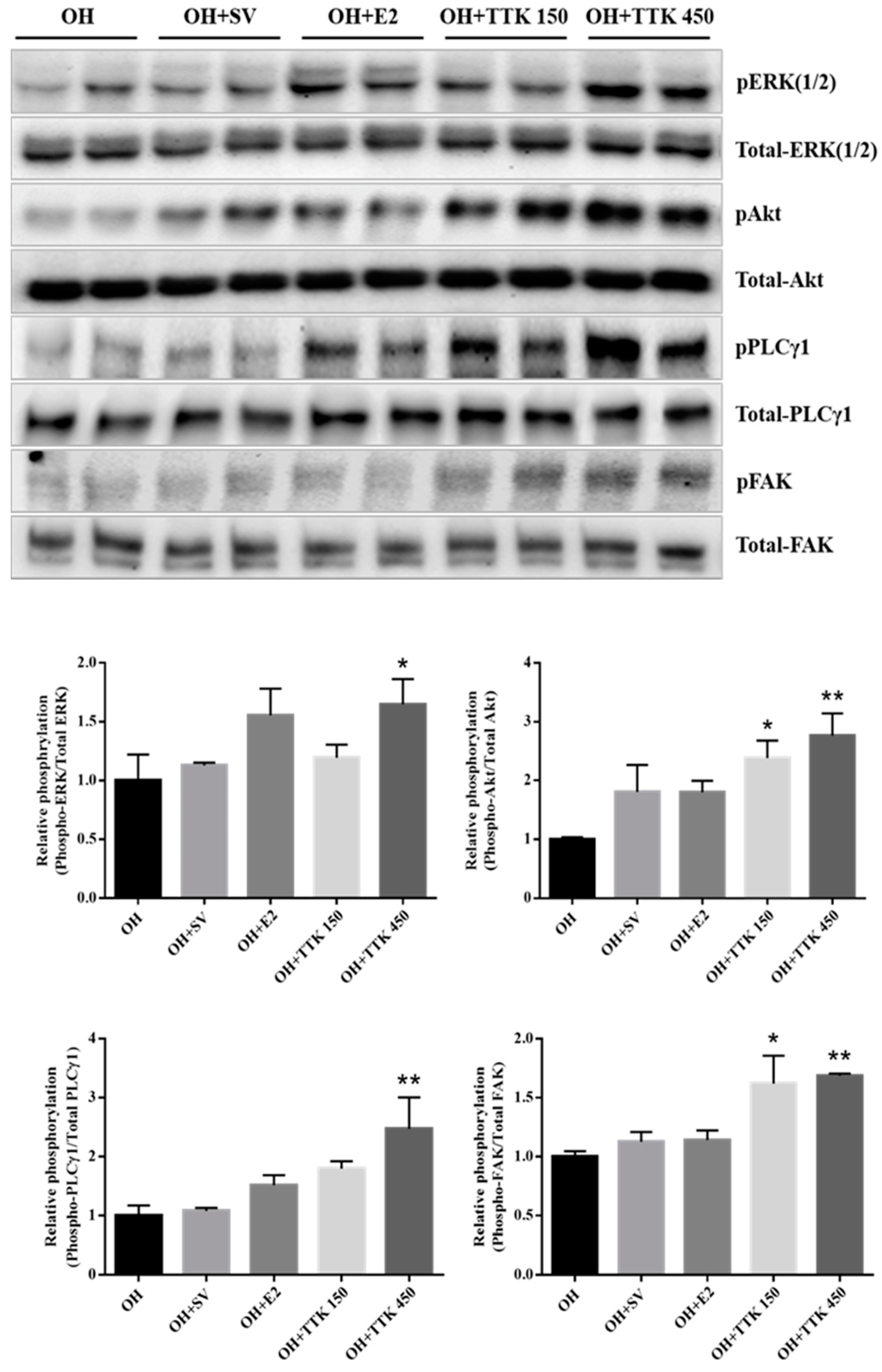 Applsci 10 08562 g006