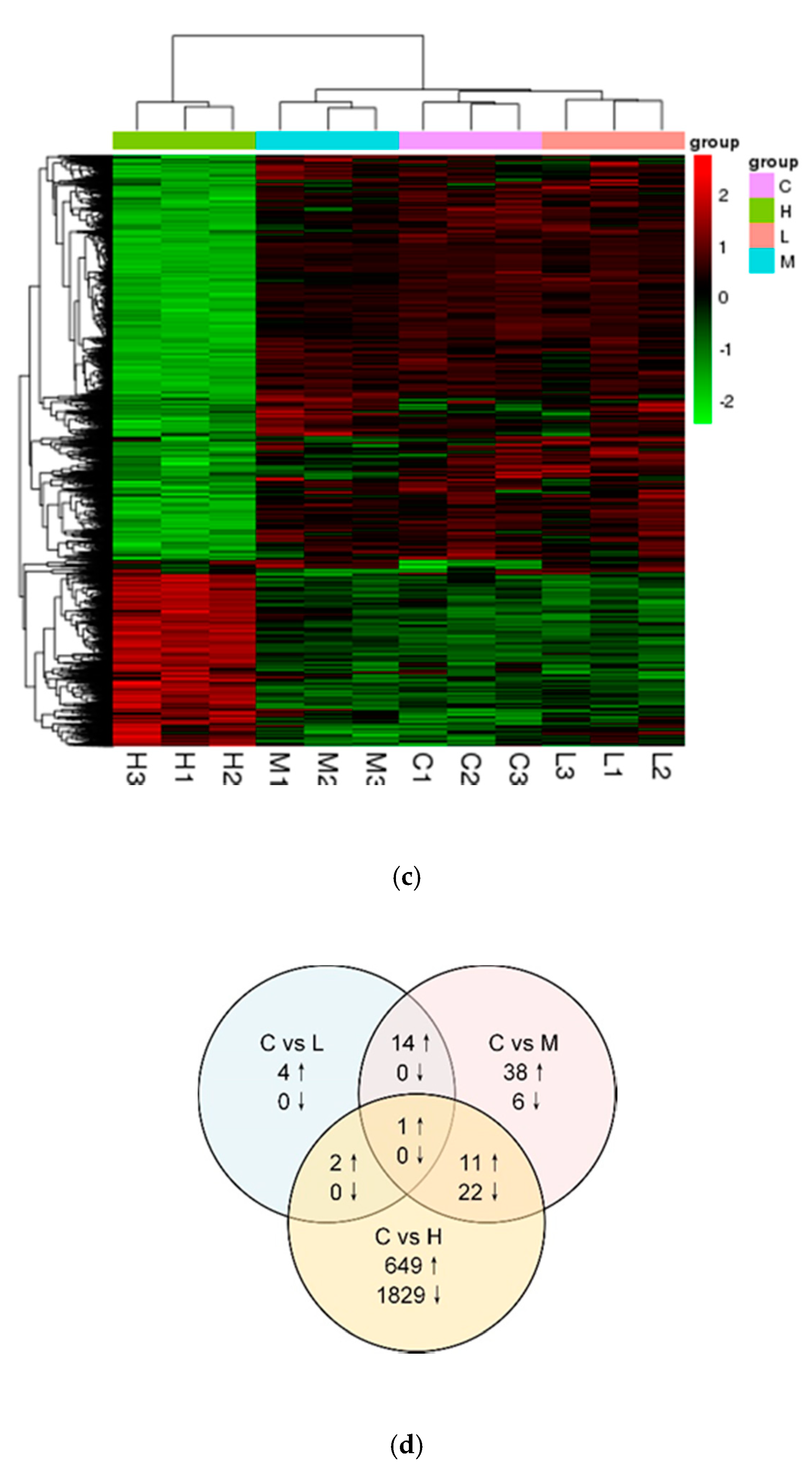 Applsci 10 08565 g002b