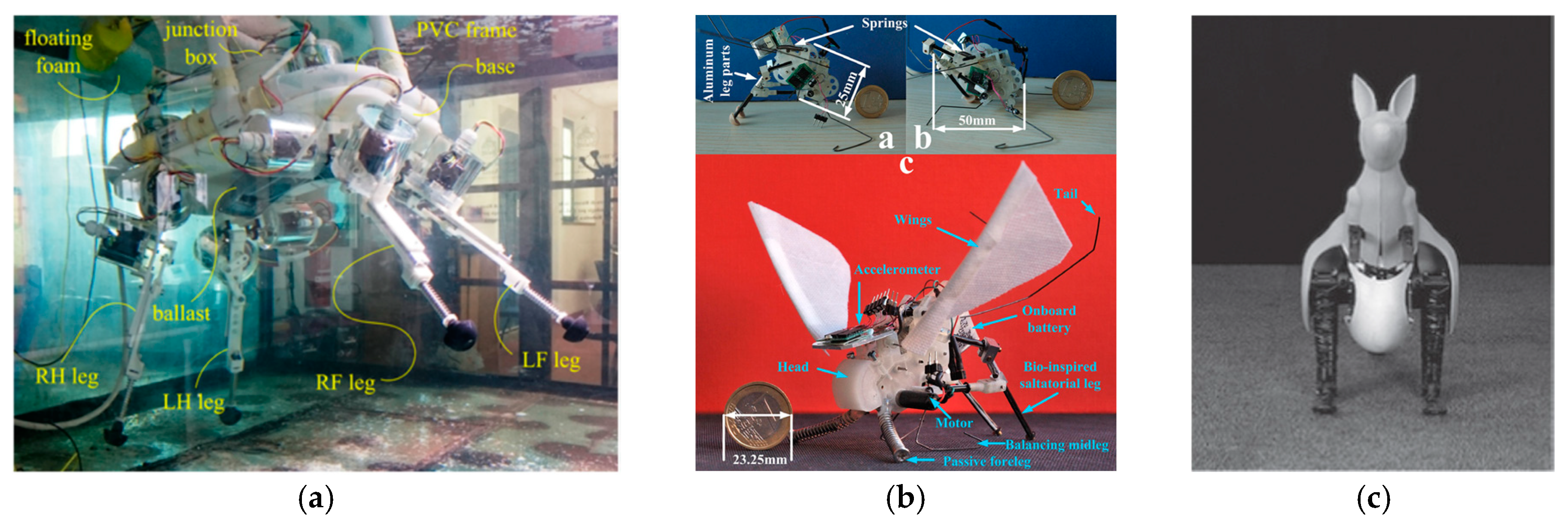 Applied Sciences | Free Full-Text | Jumping Locomotion Strategies: From  Animals to Bioinspired Robots | HTML