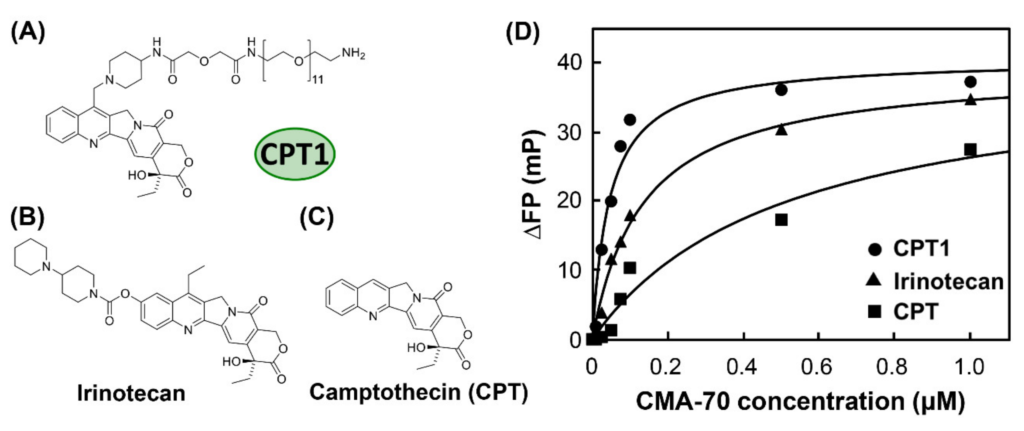 Applsci 10 08755 g002 Applsci 10 08755 g002