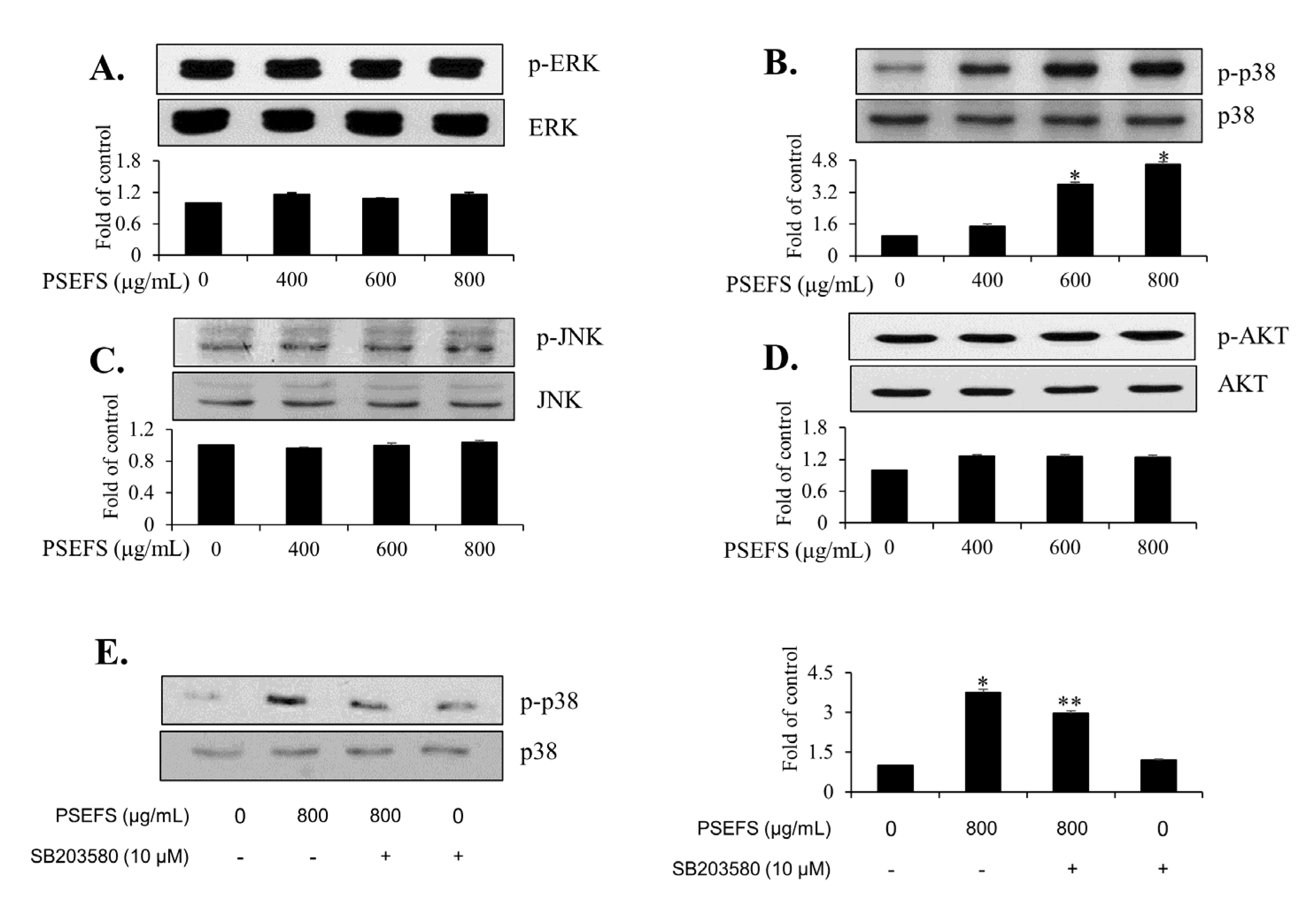 Applsci 10 08758 g003