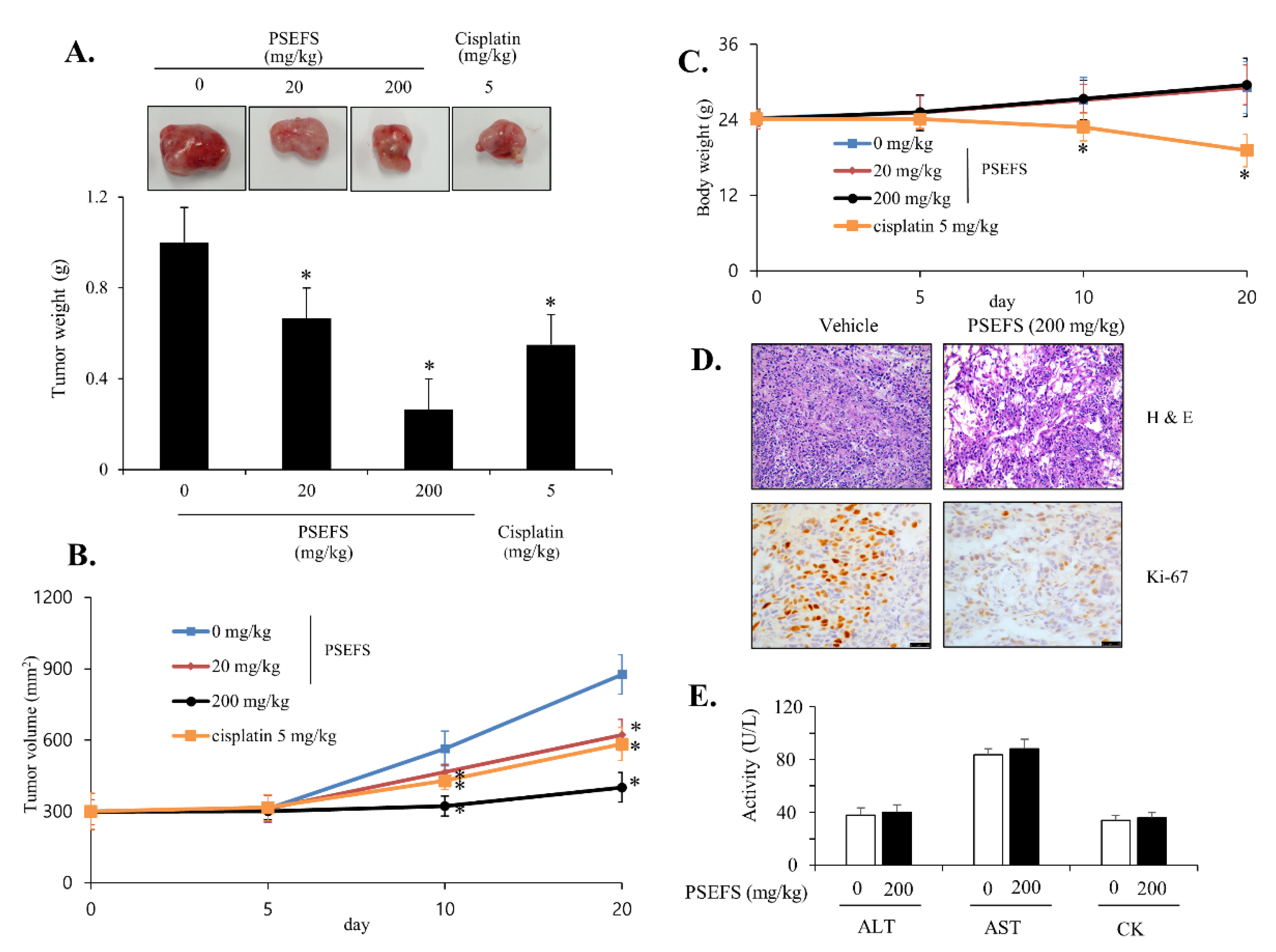Applsci 10 08758 g005